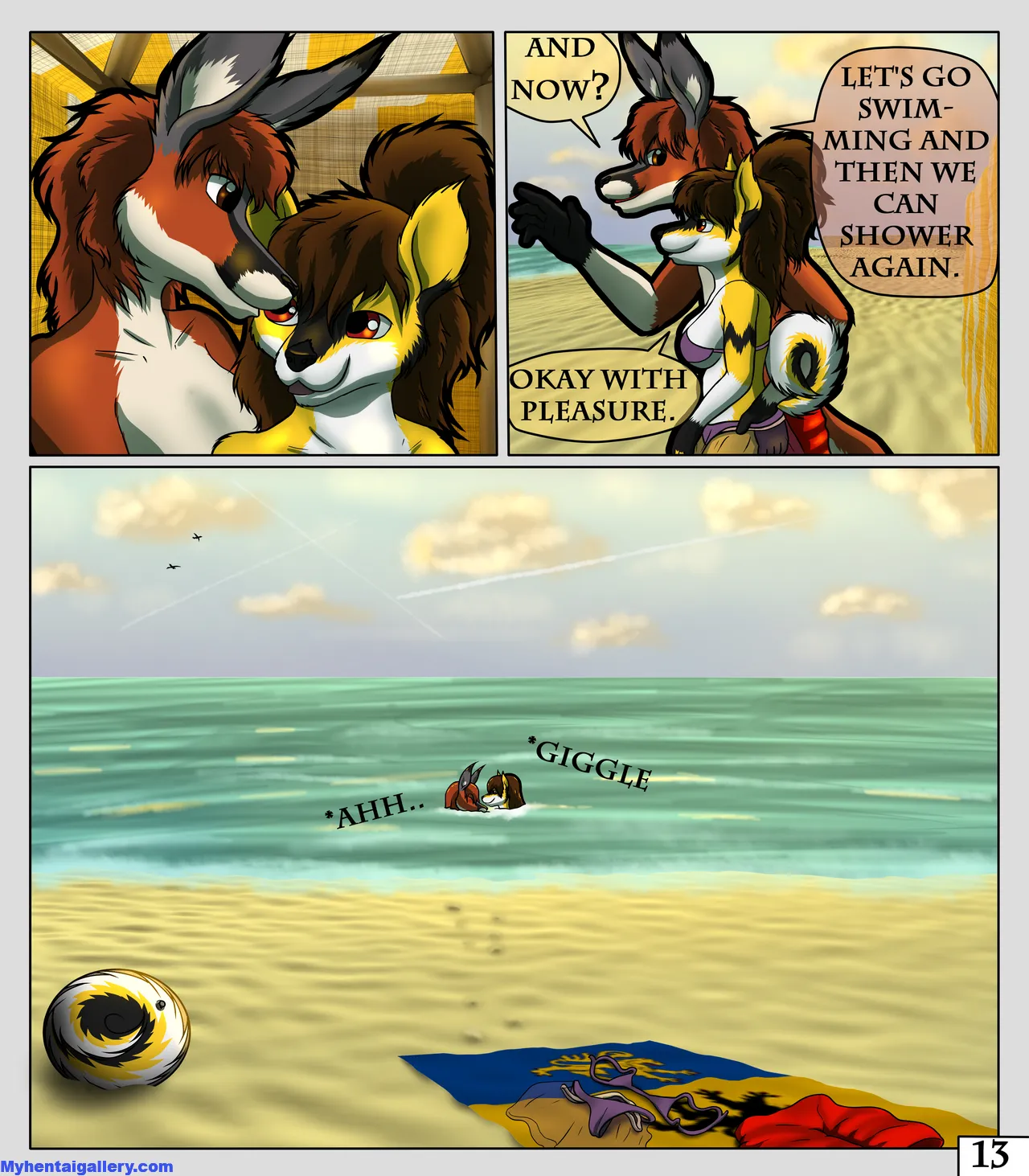 Page 13