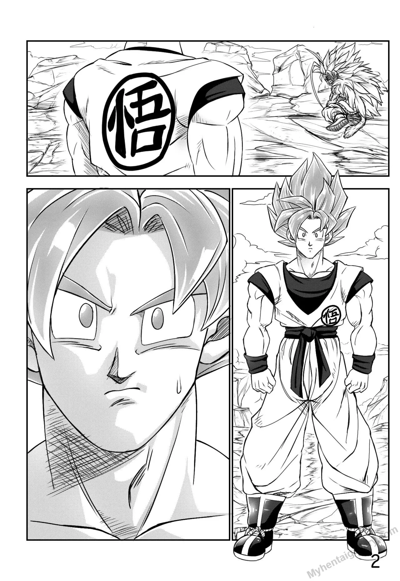 Page 3