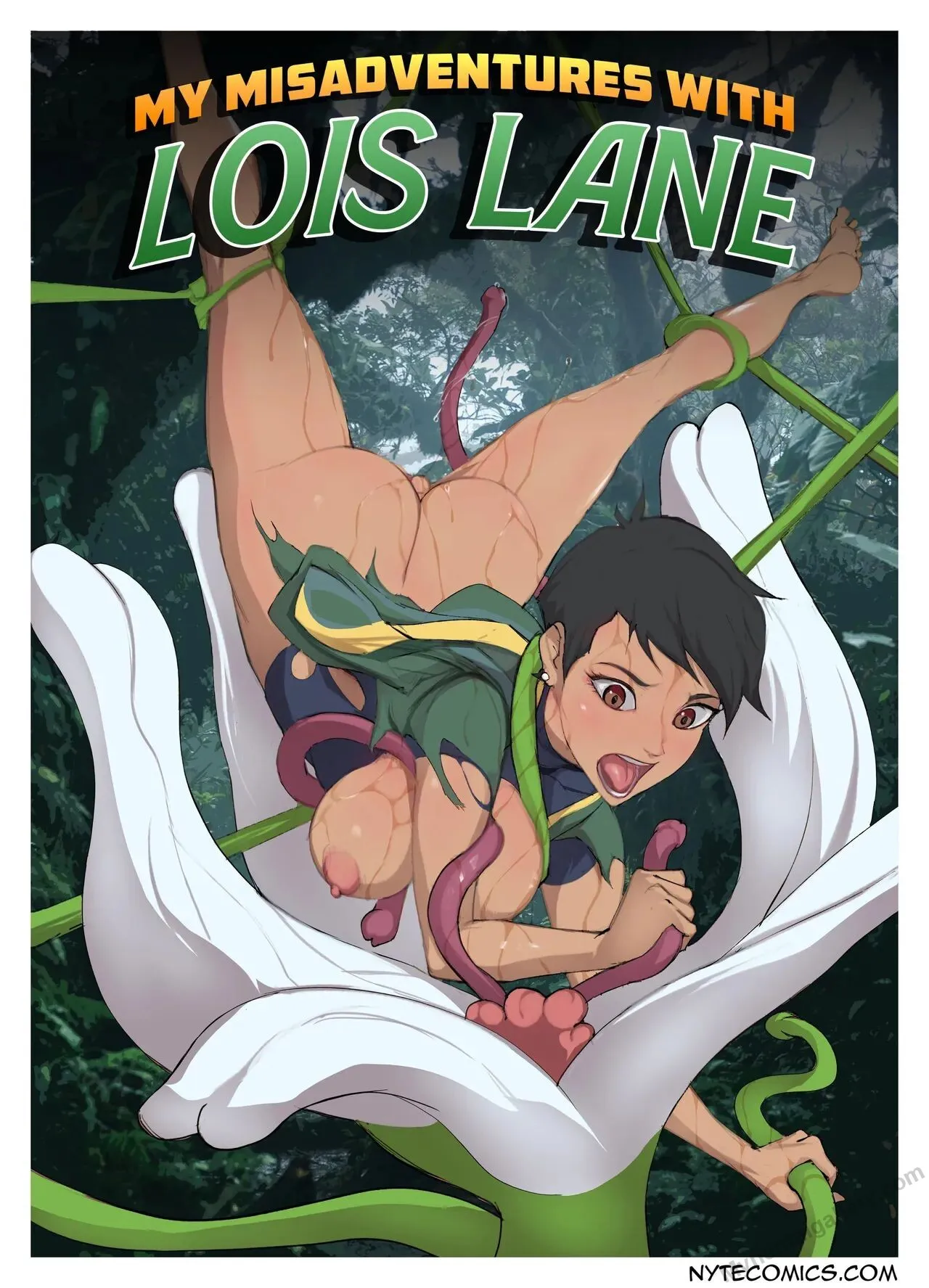 My Misadventures With Lois Lane porno comics Cover