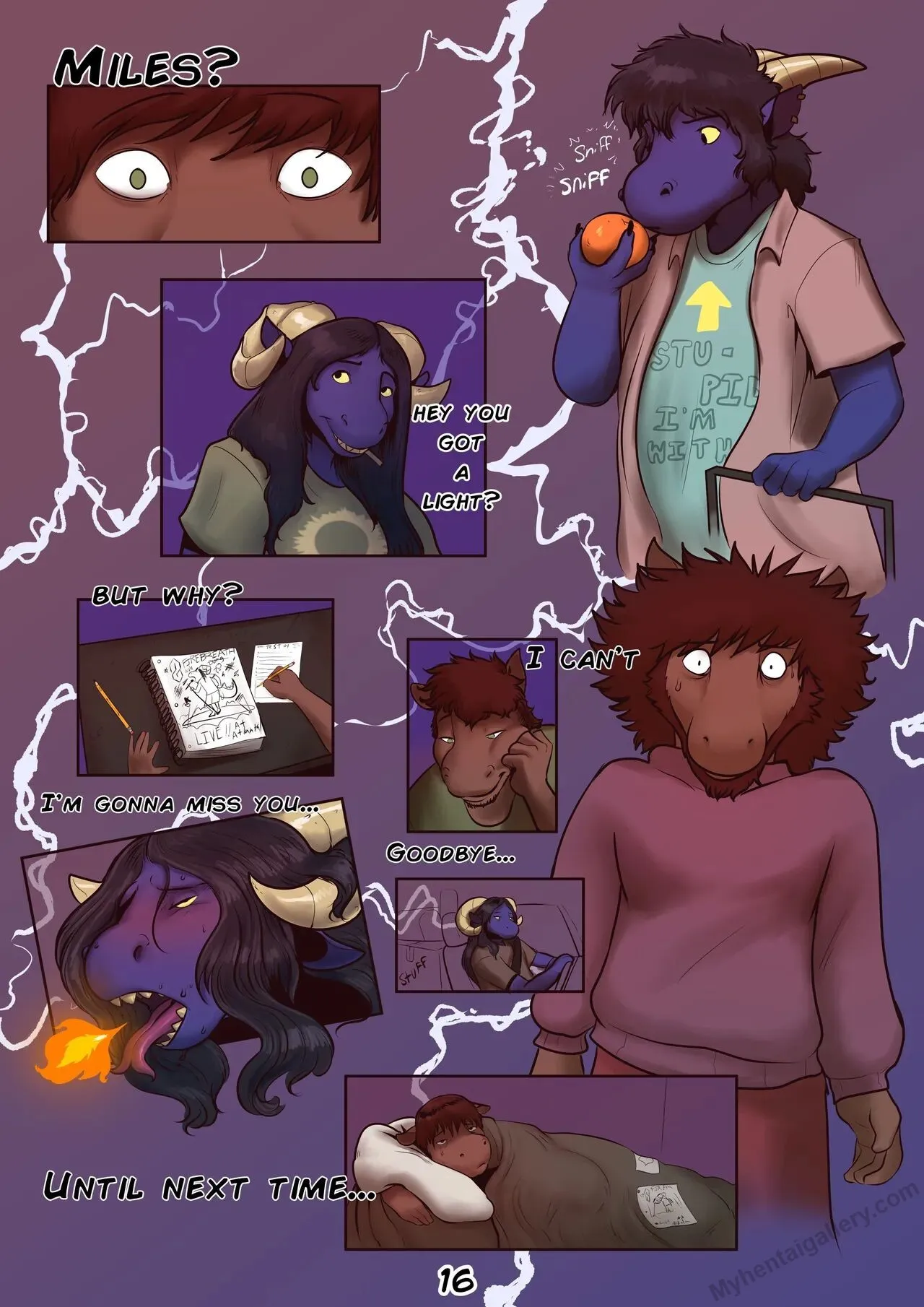 Page 17