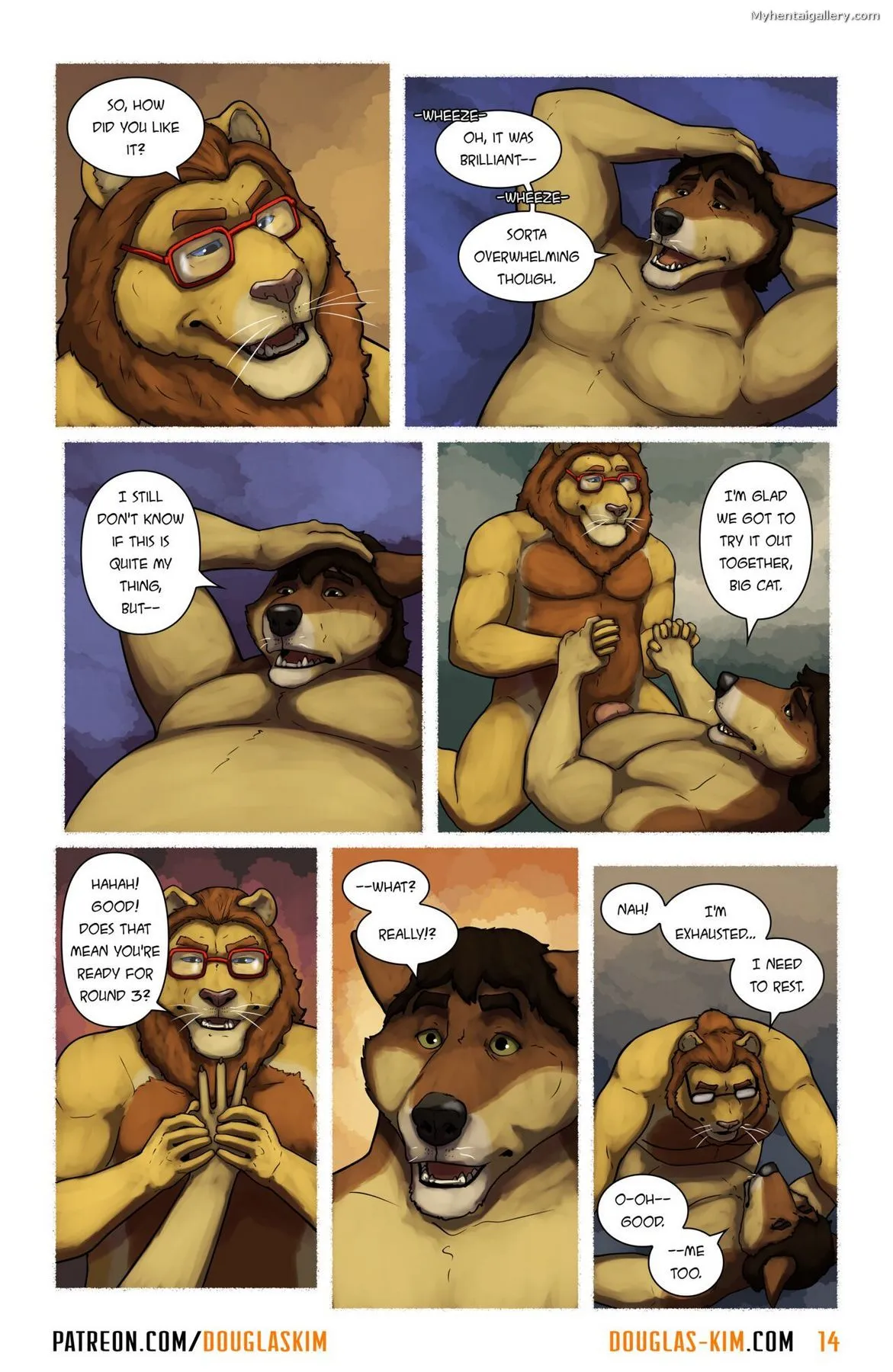 Page 15