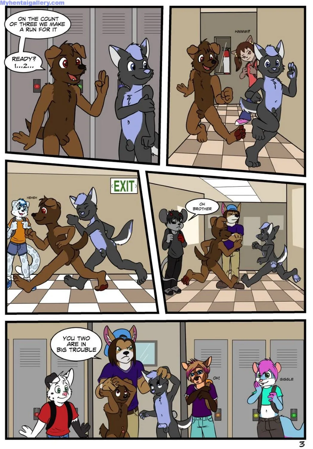 Page 4