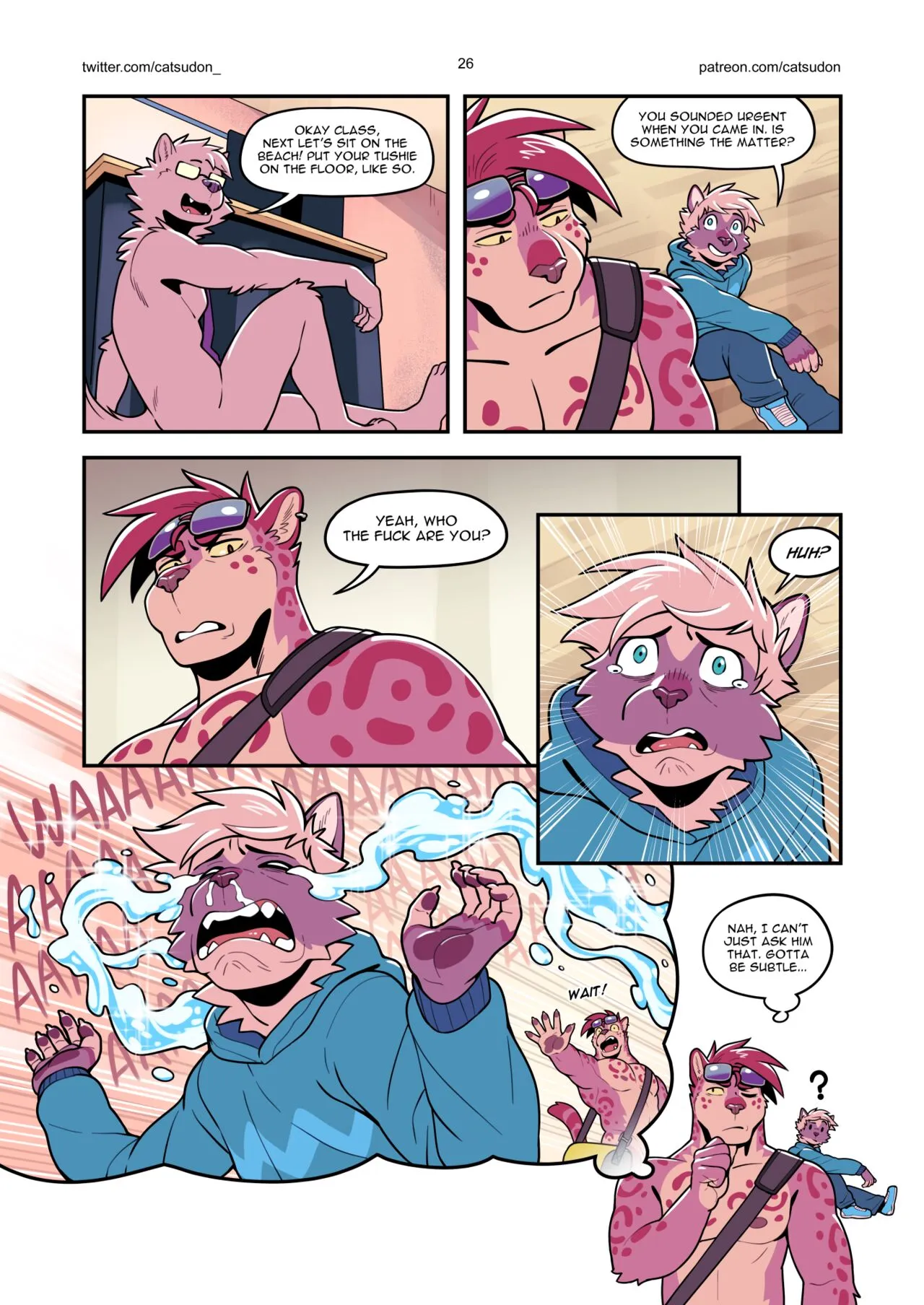 Page 27