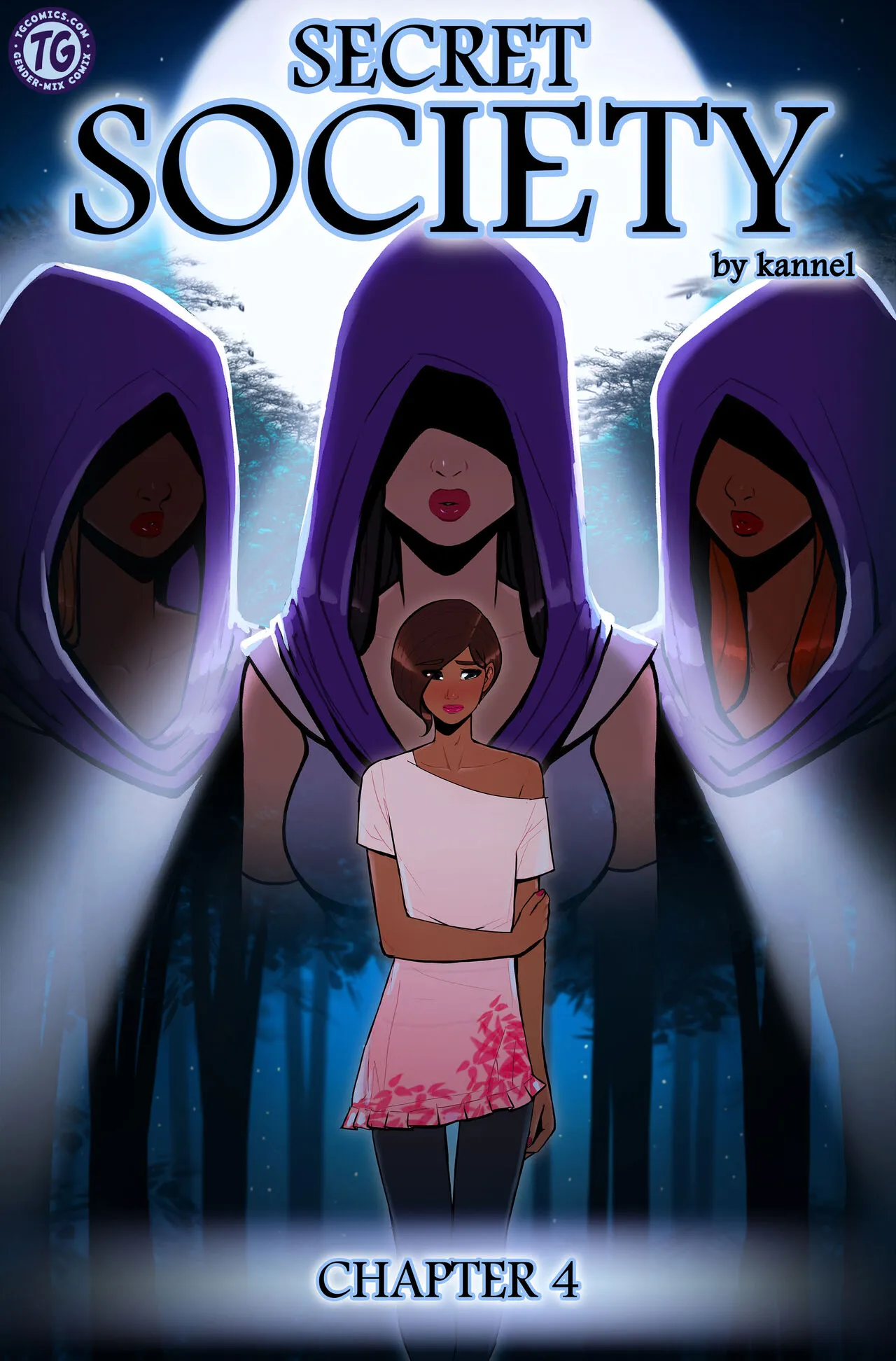 Secret Society 4 porno comics Cover