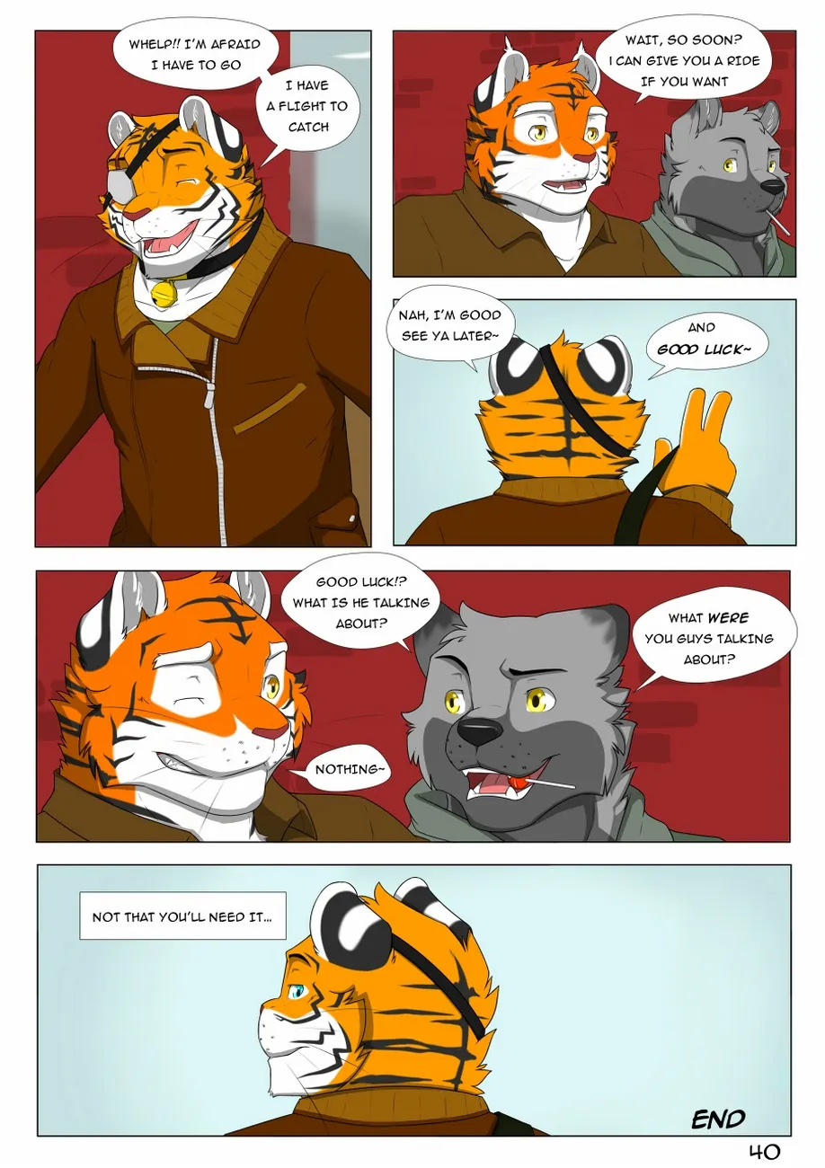 Page 41