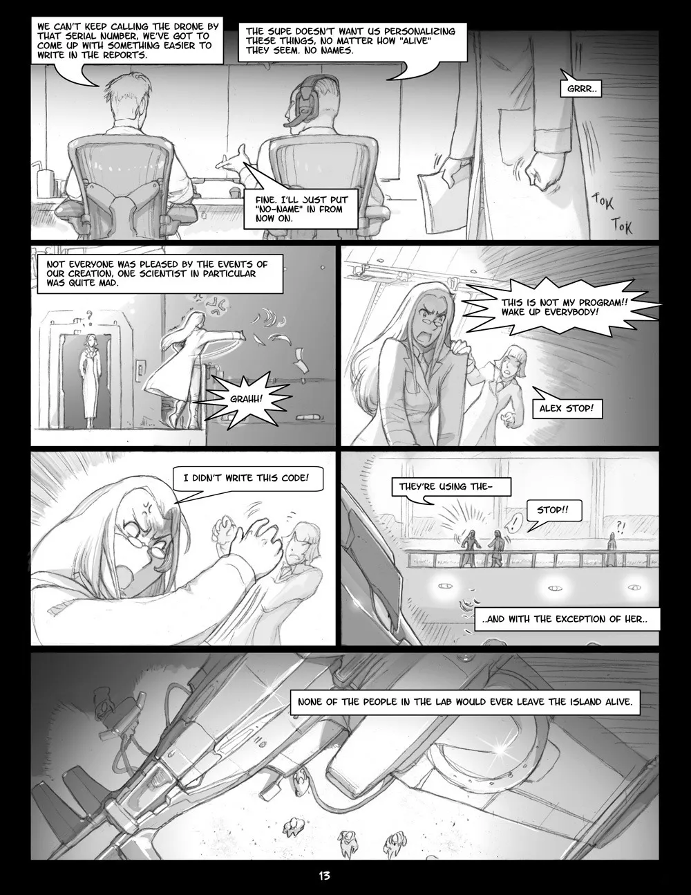 Page 13