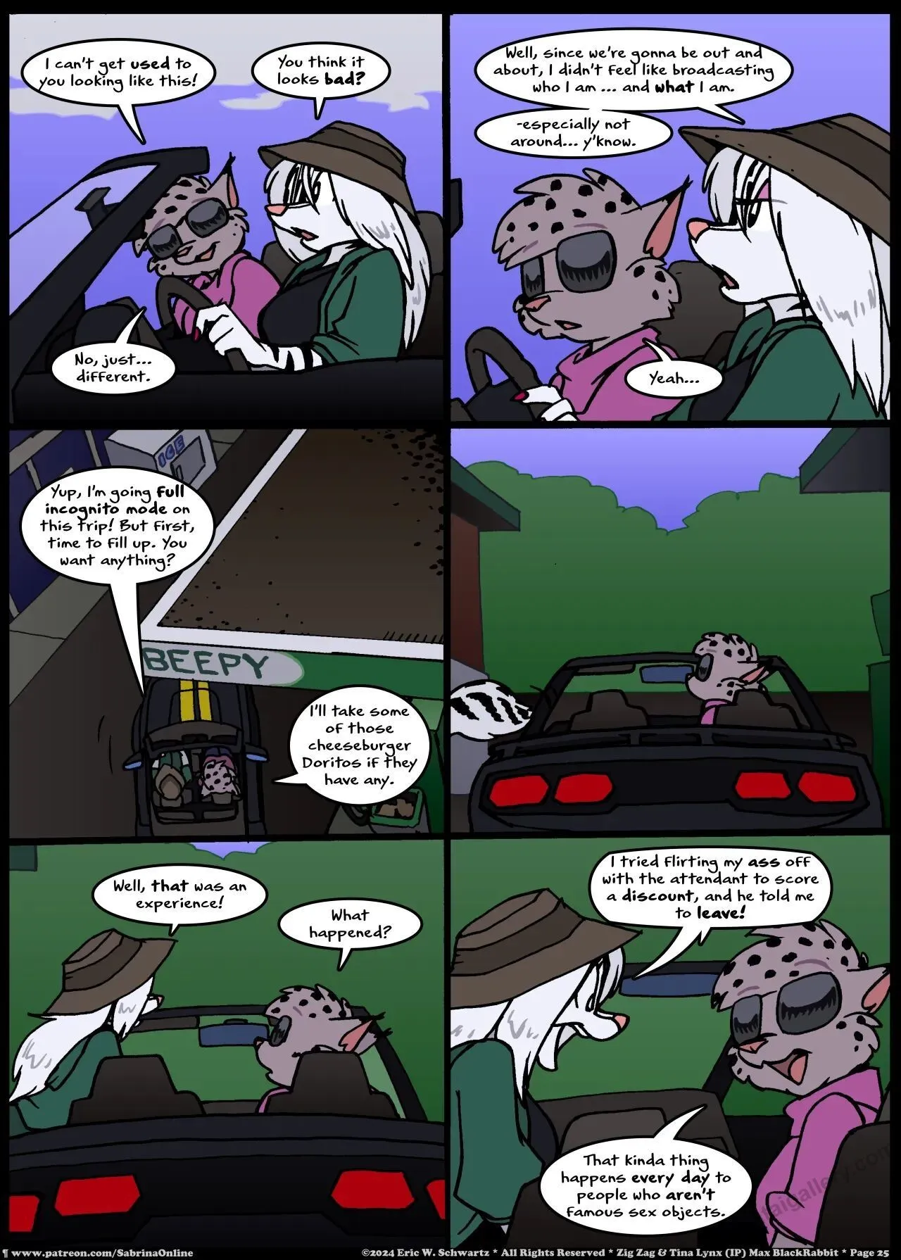 Page 25