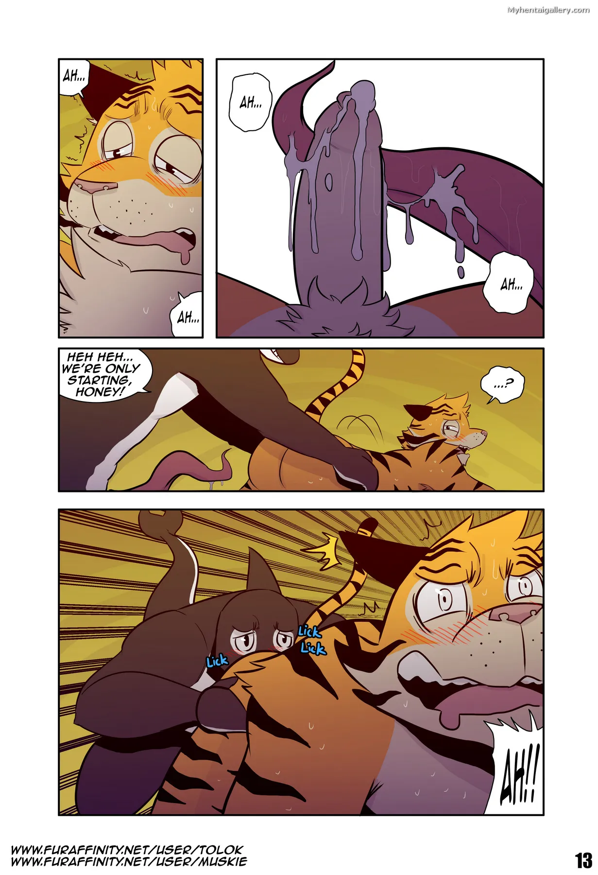 Page 13