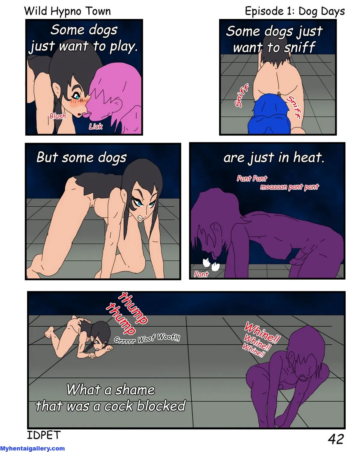 Page 43