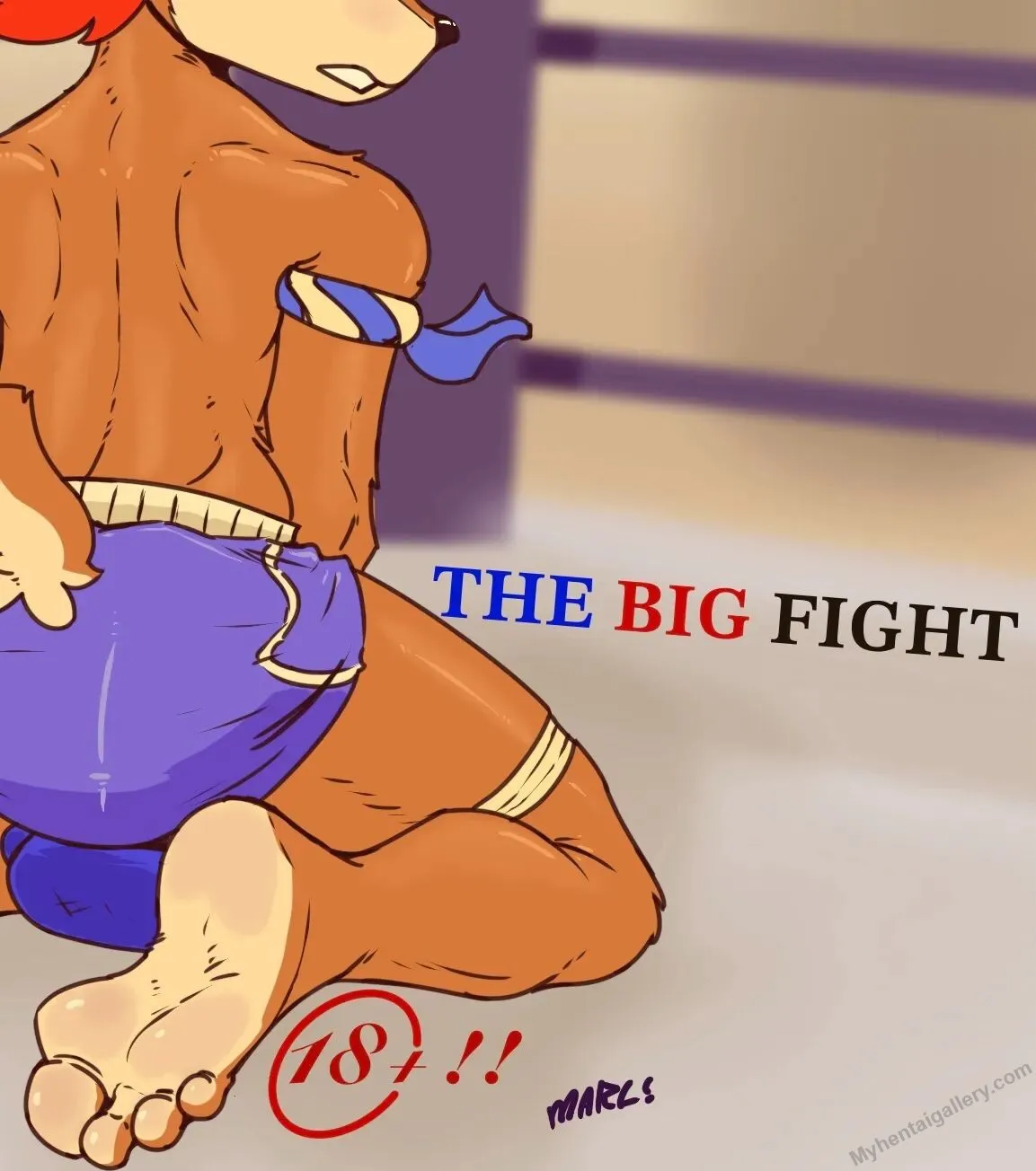 The Big Fight 1 porno comics Cover