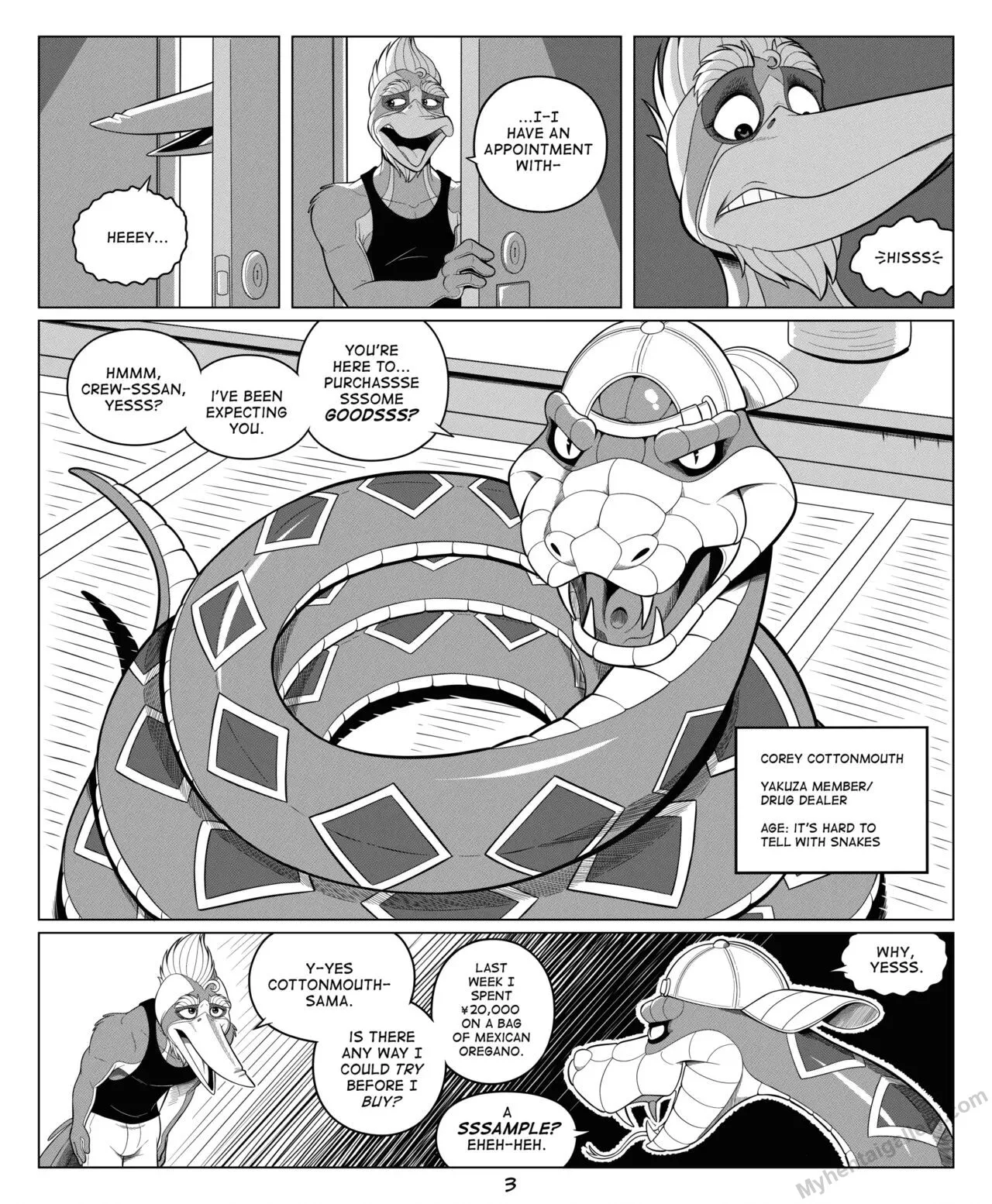 Page 3