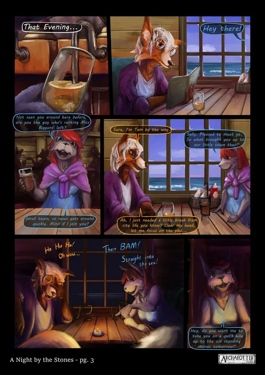 Page 3