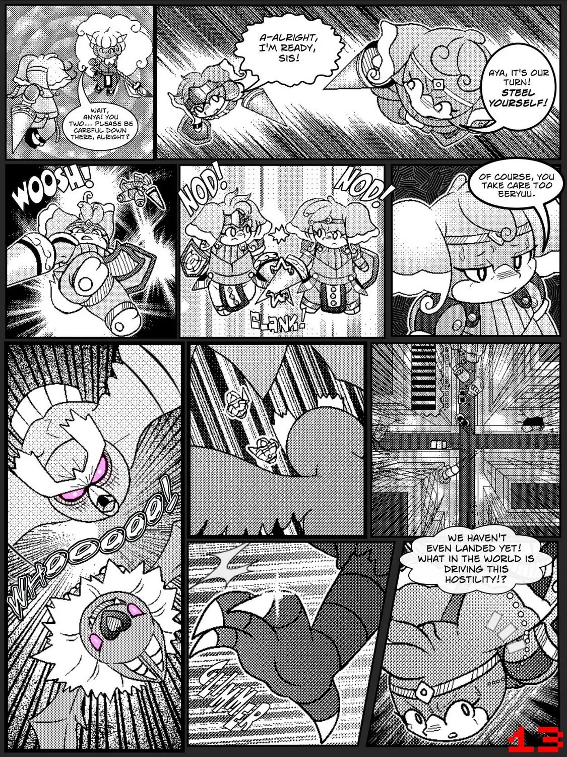 Page 13