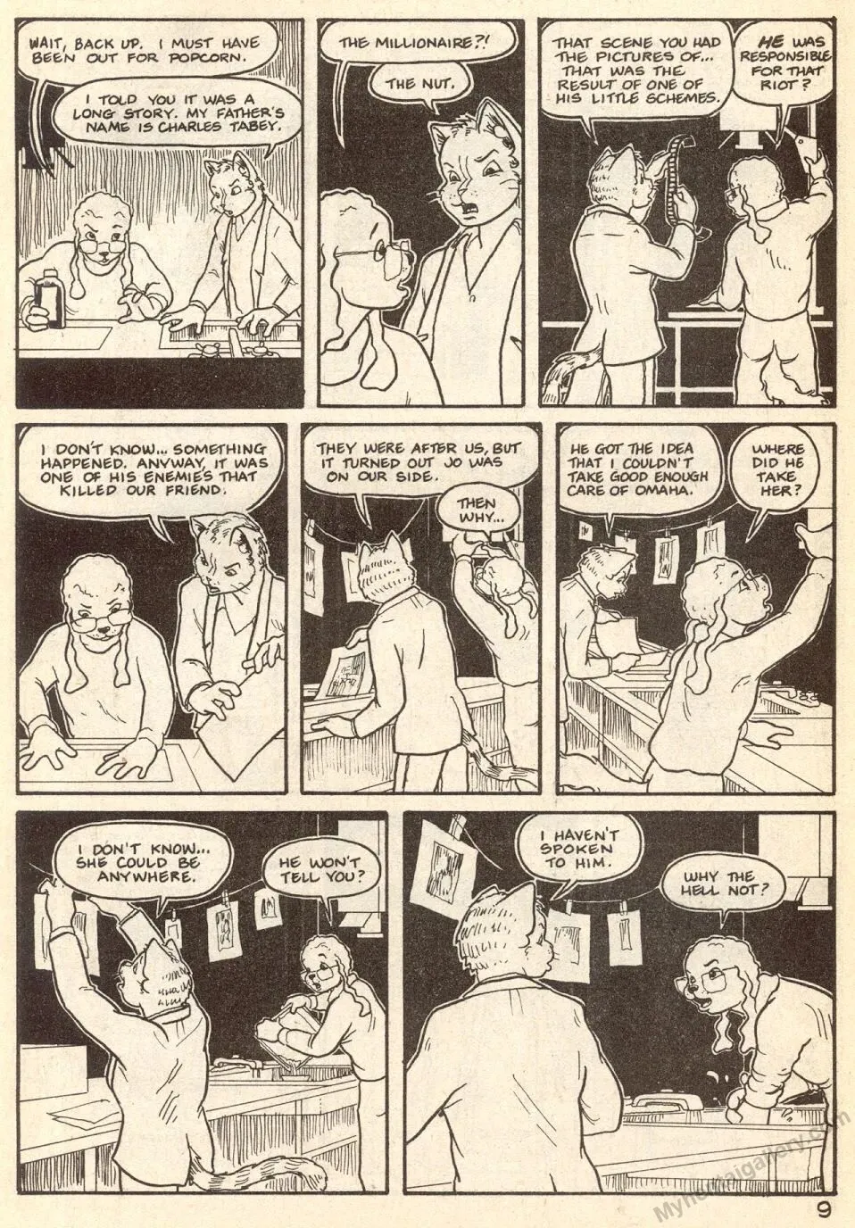 Page 11