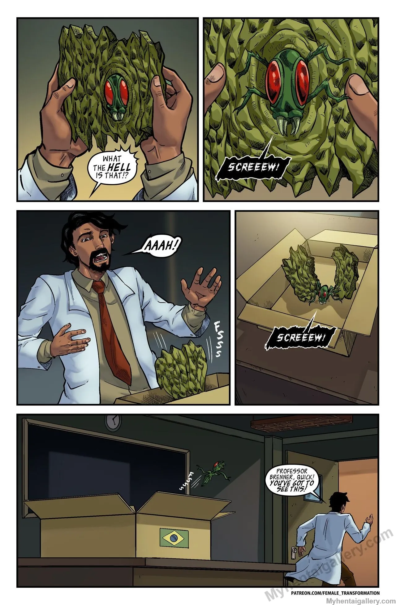 Page 3
