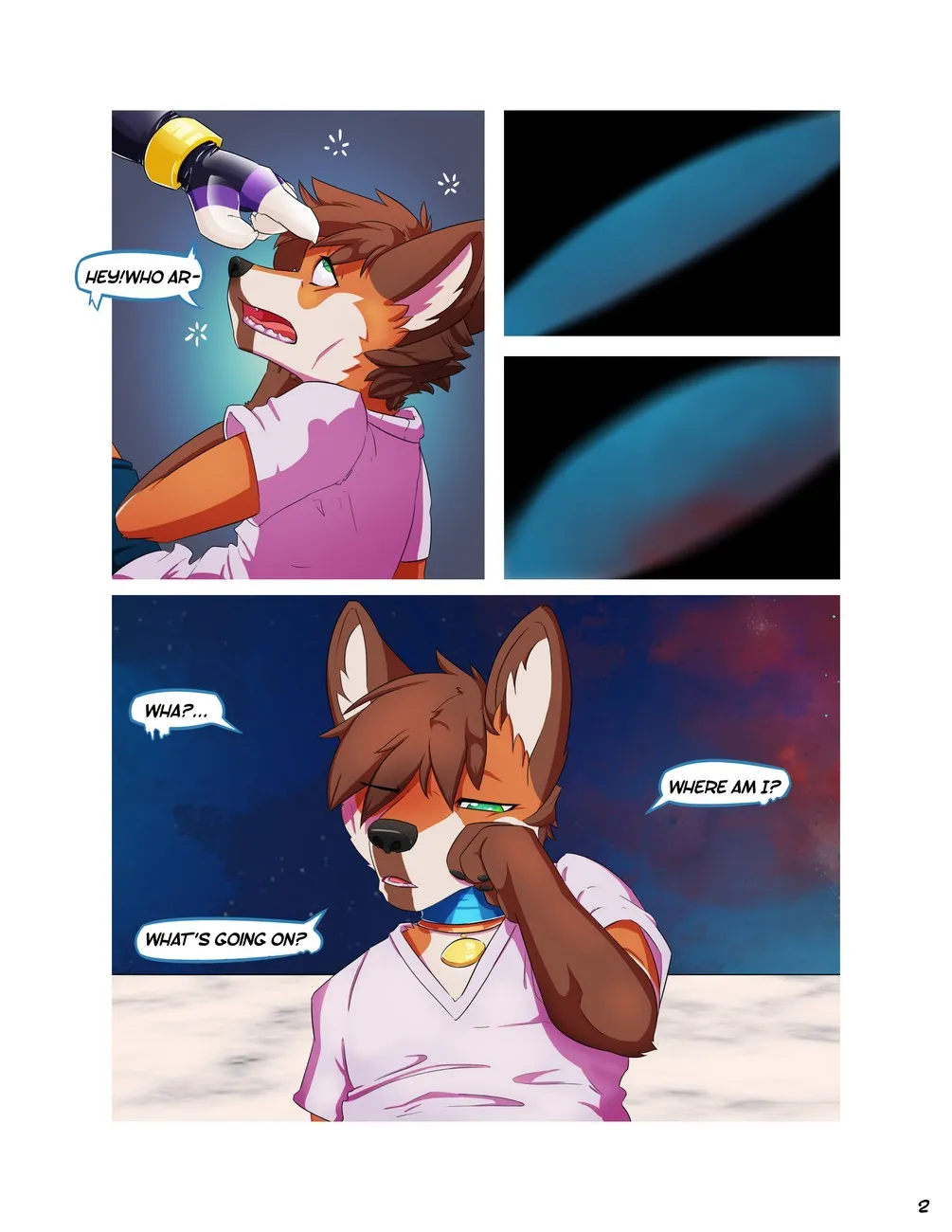 Page 3