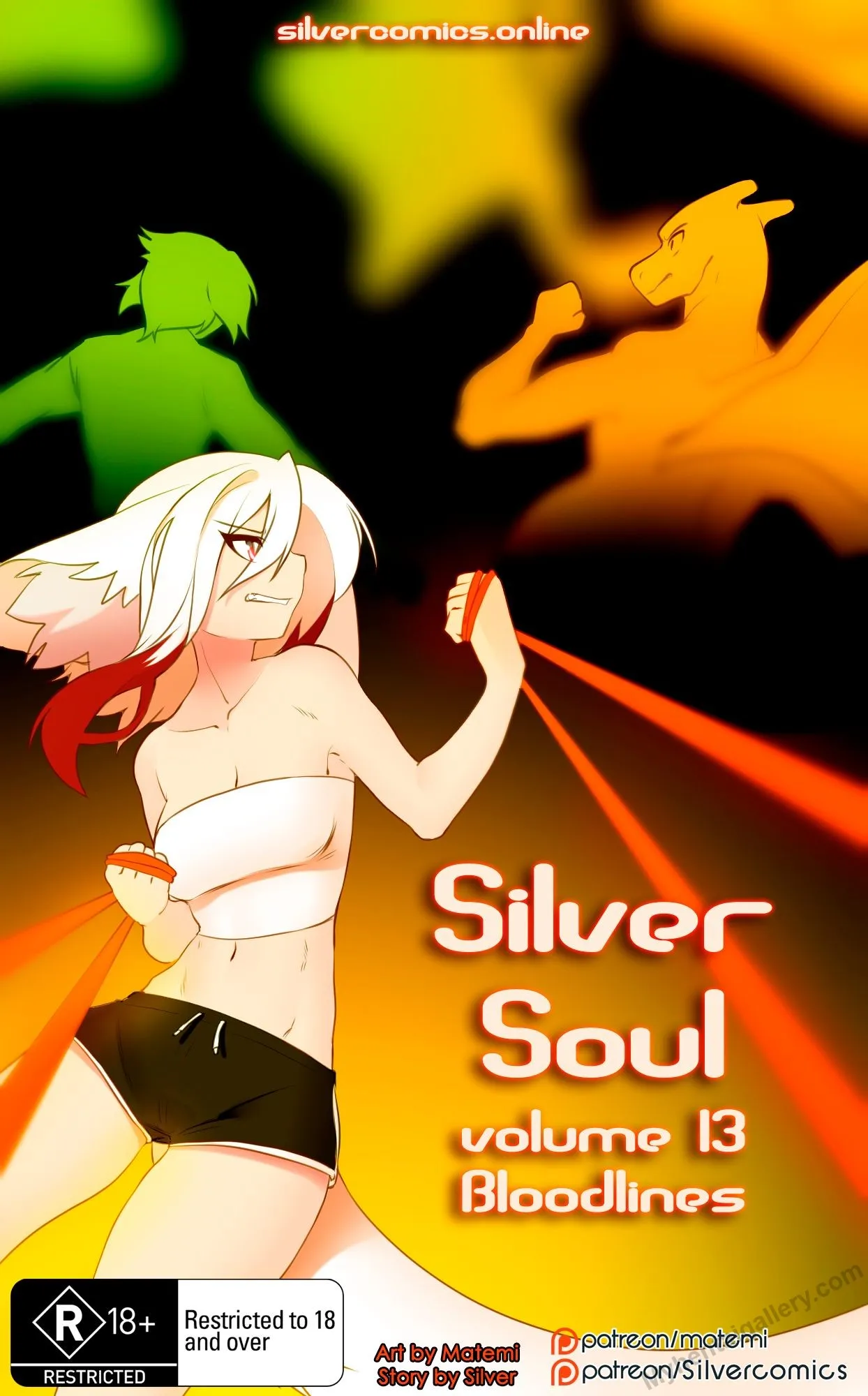 Silver Soul 13 porno comics Cover