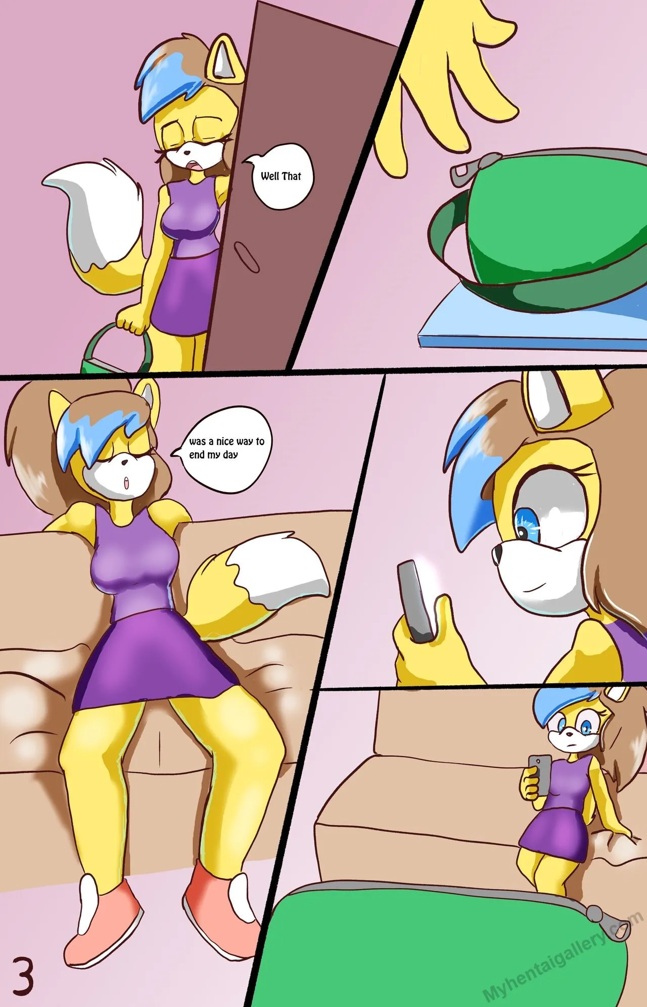 Page 3