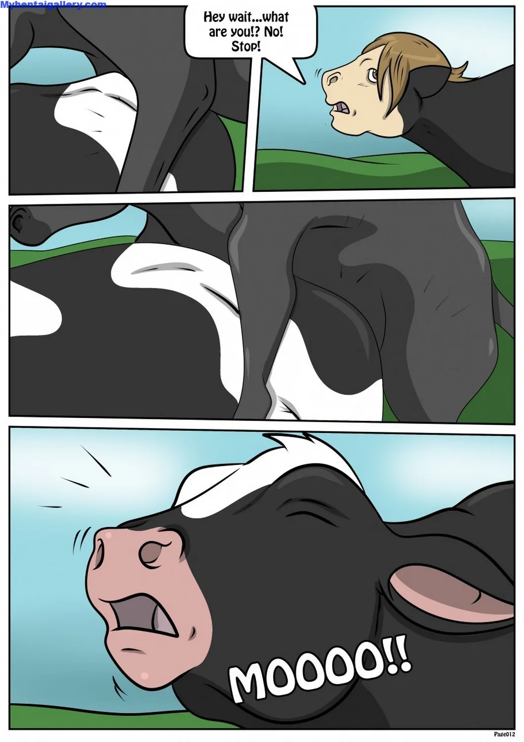 Page 12