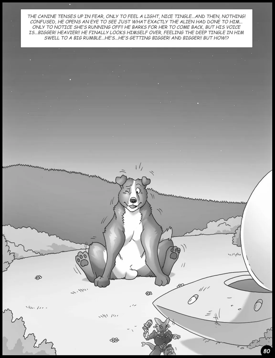 Page 80