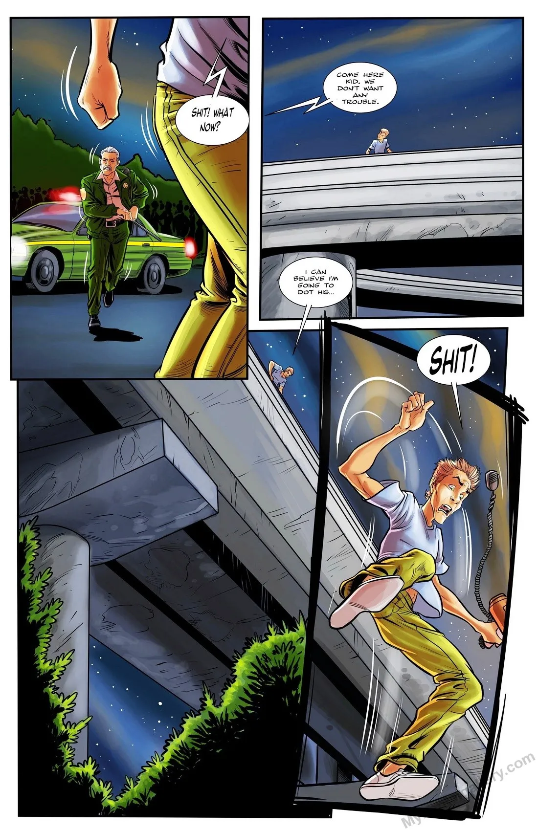 Page 3