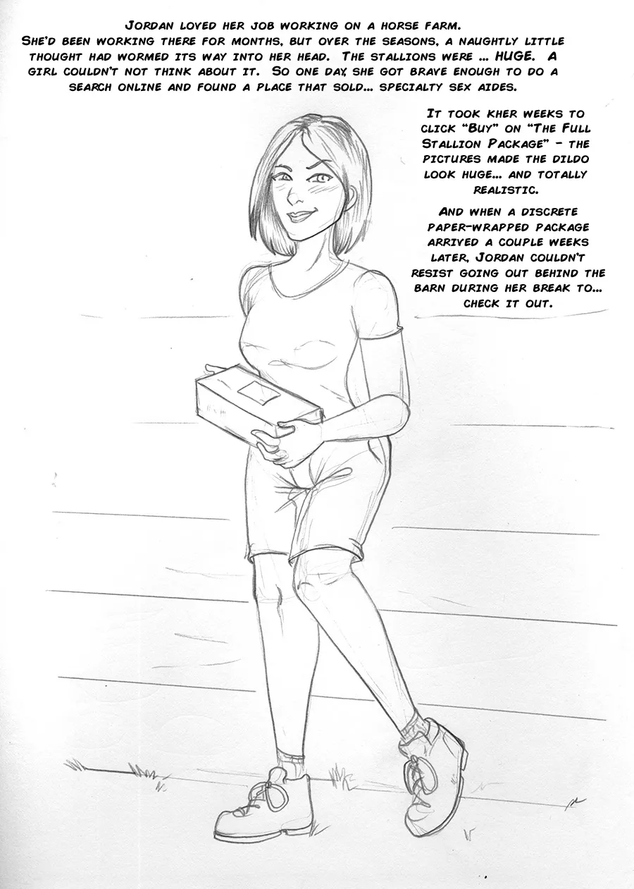 Stallion Package (Remake) porno comics Cover
