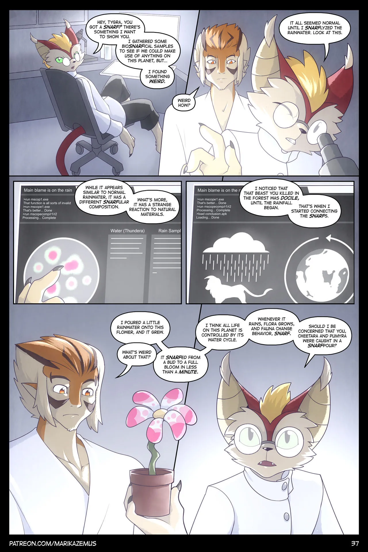 Page 37