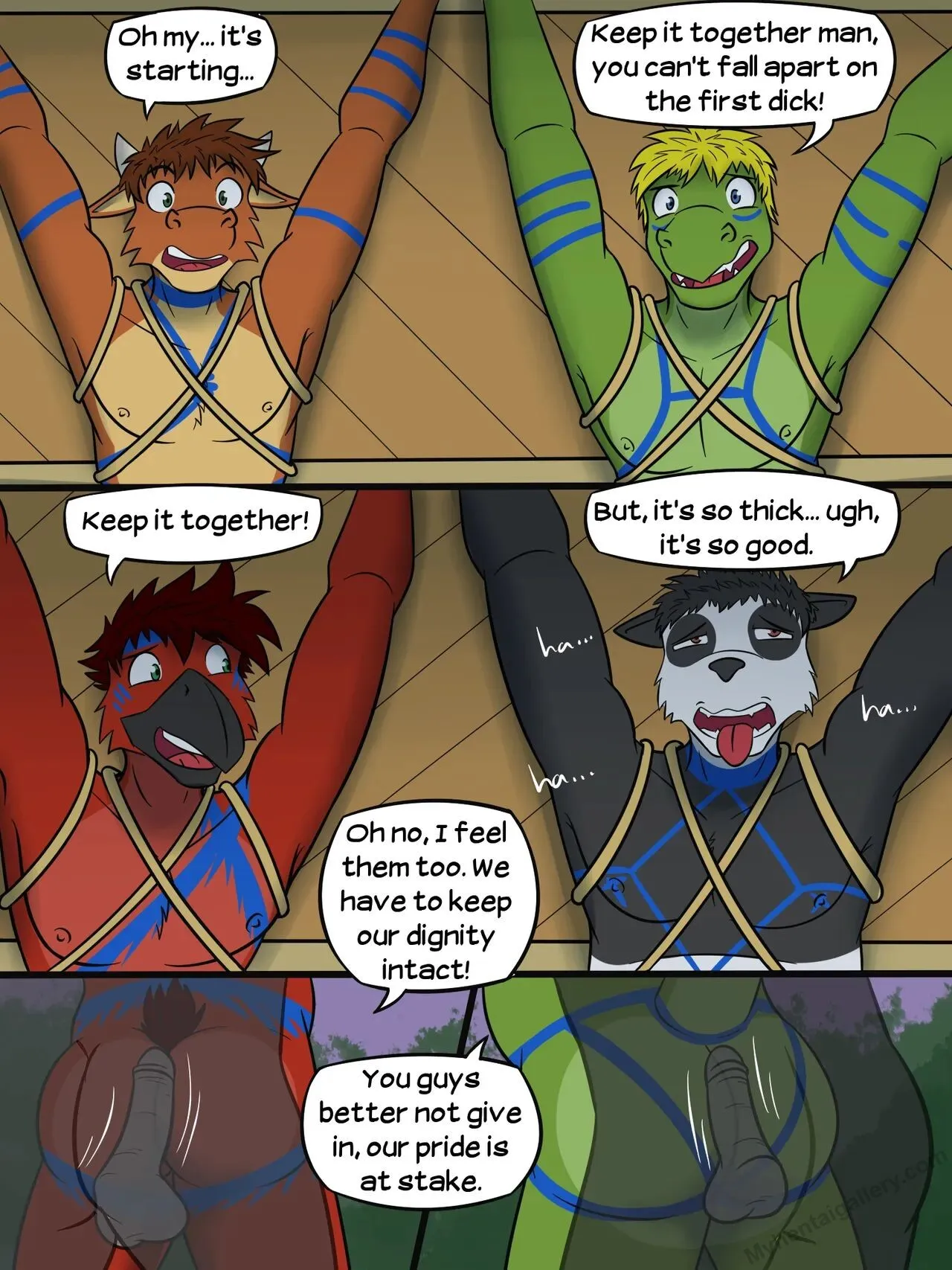 Page 41