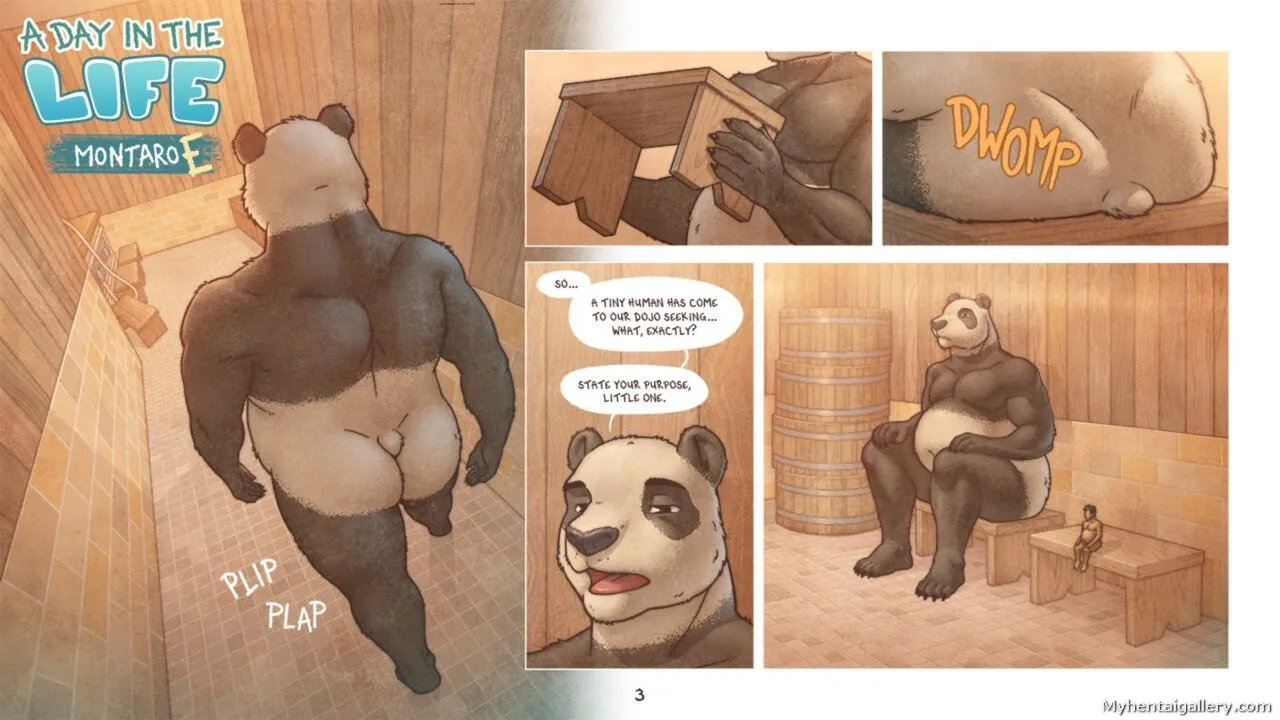 Page 3