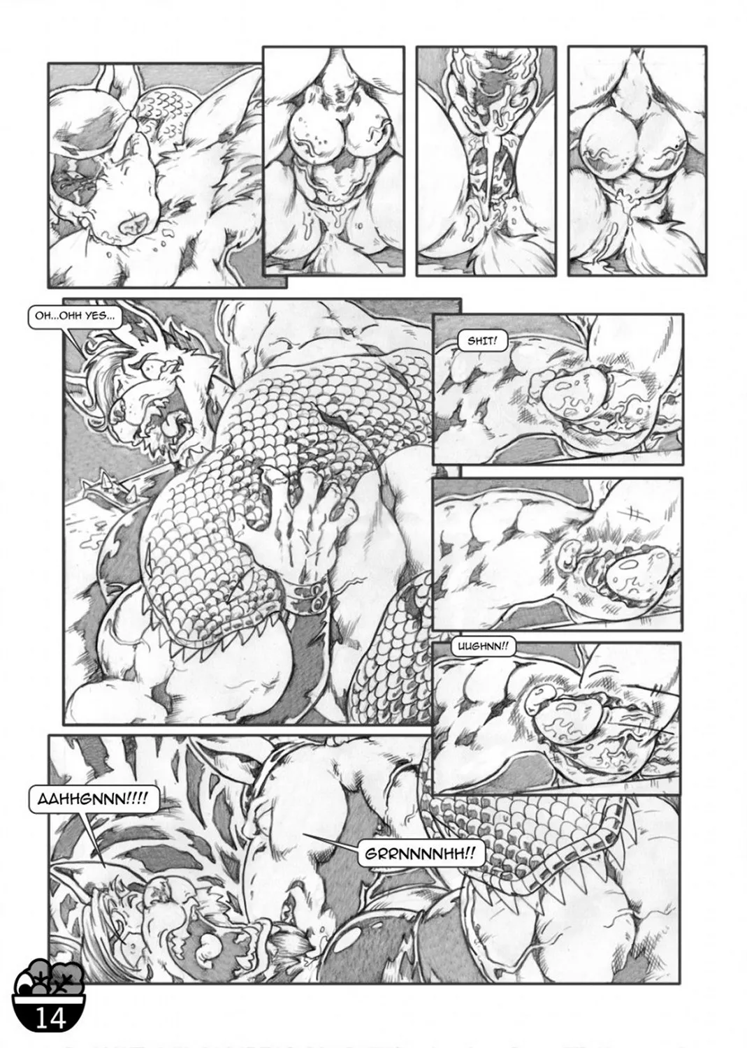 Page 14