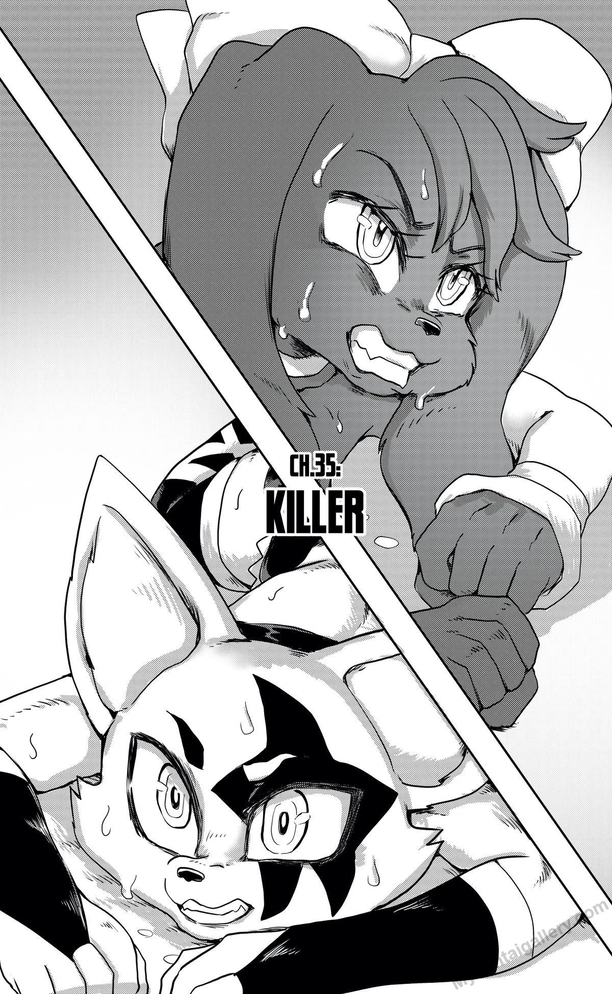 Furry Fight Chronicles 35 - Killer porno comics