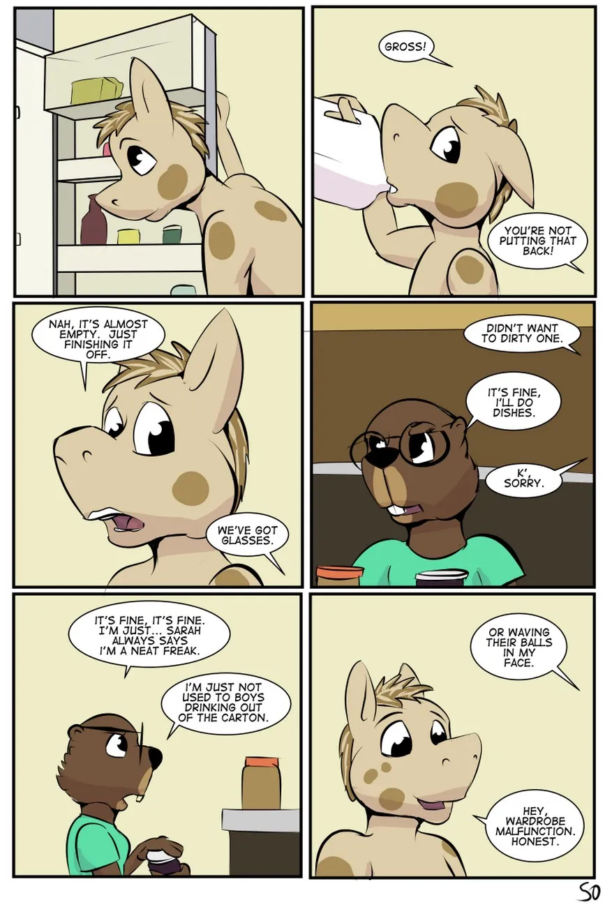 Page 51