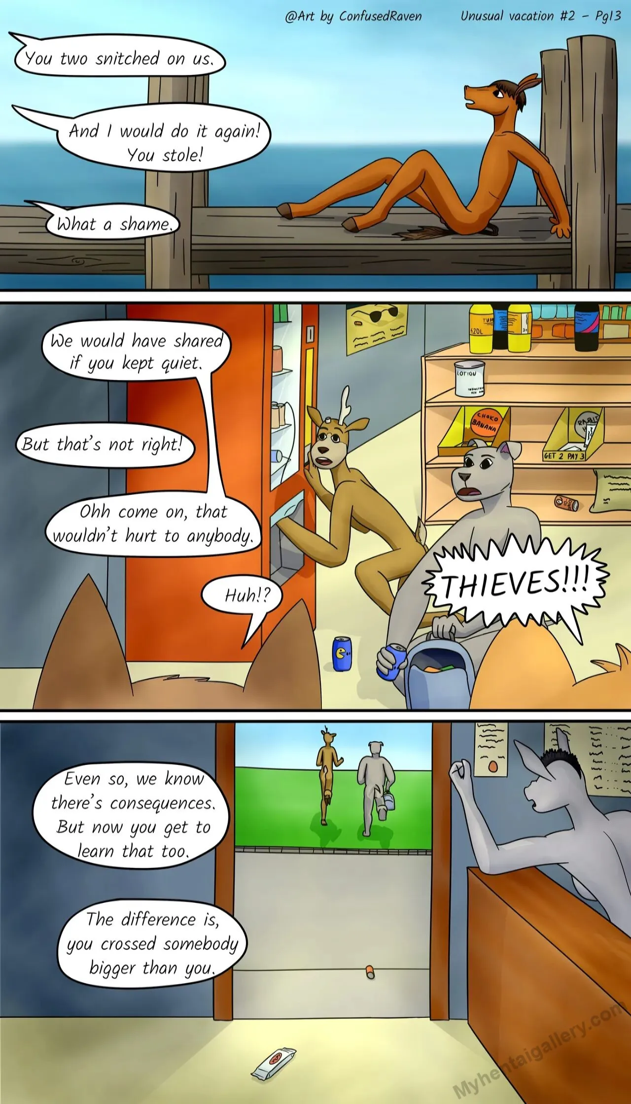 Page 13