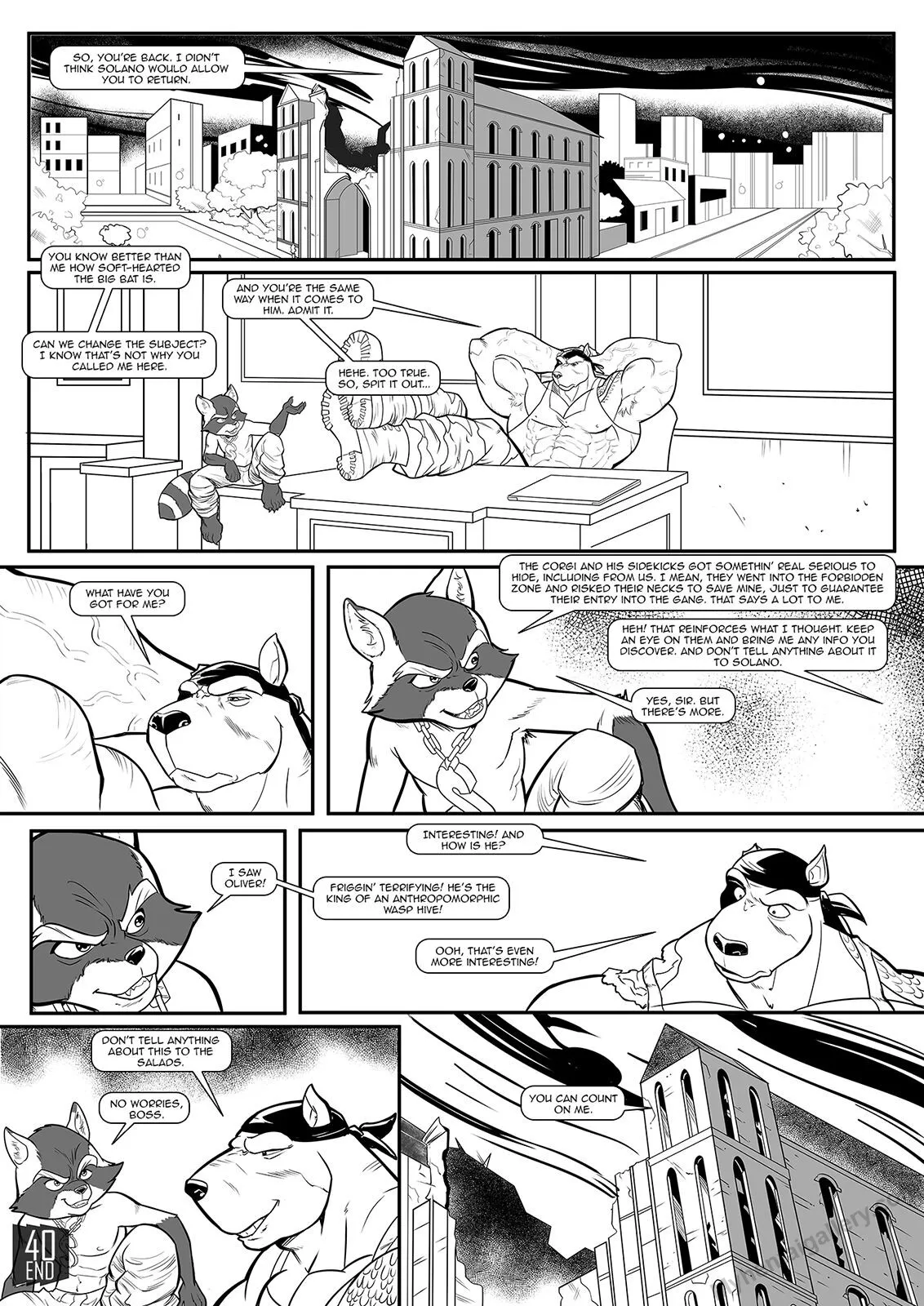 Page 41
