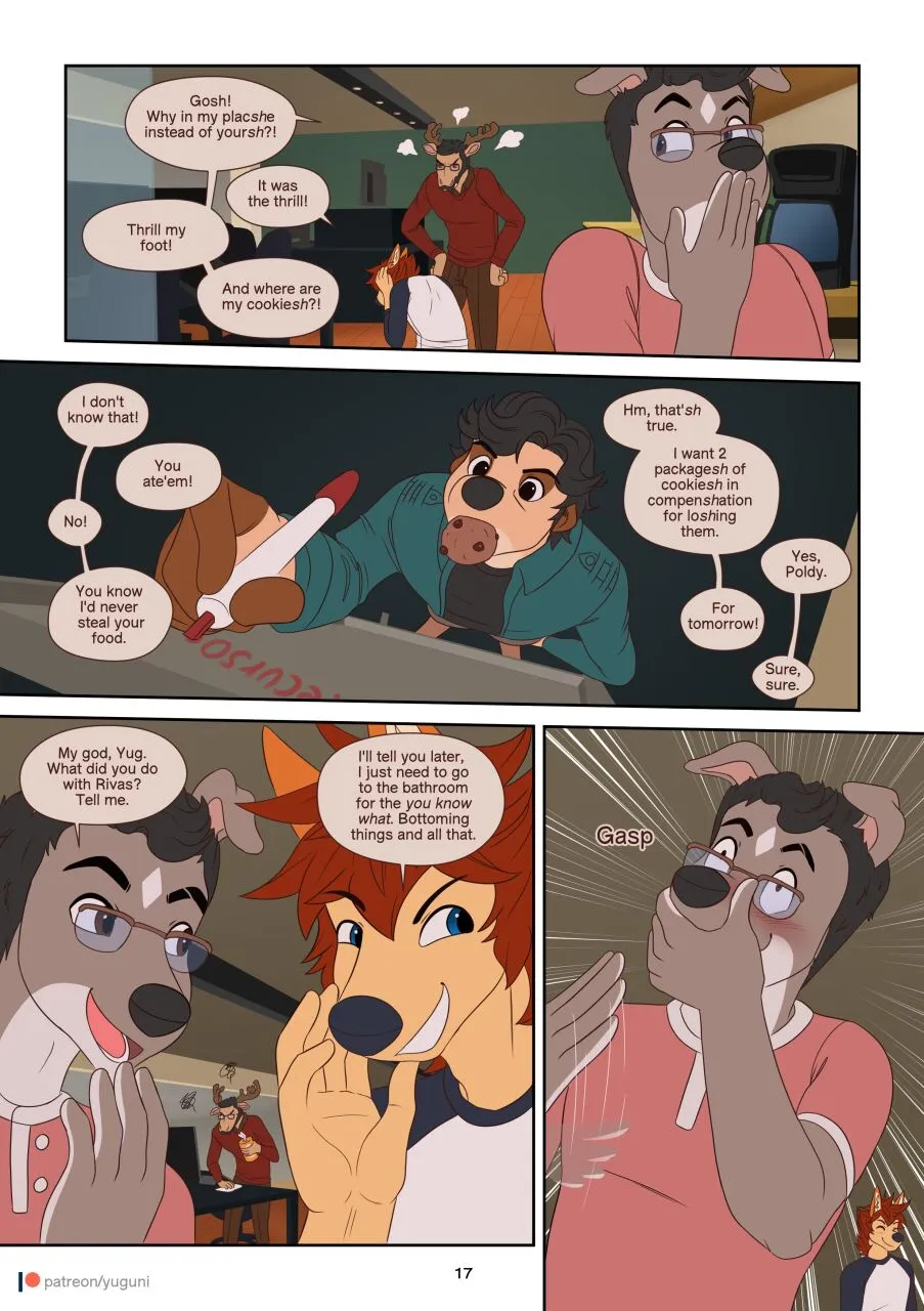 Page 17
