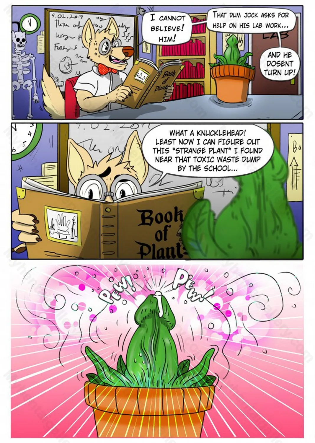 Page 3