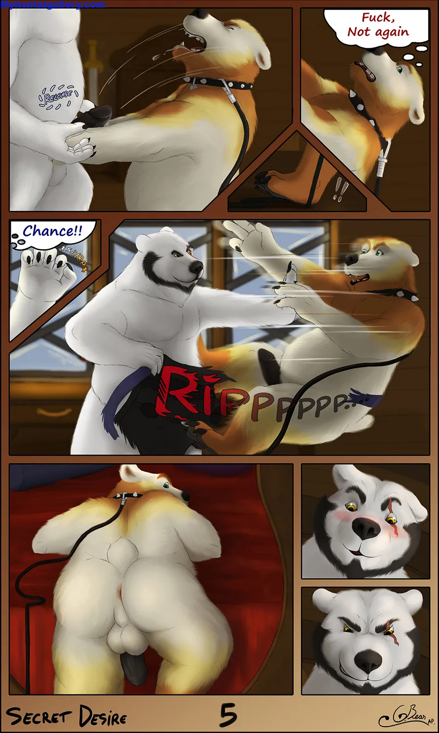 Page 5
