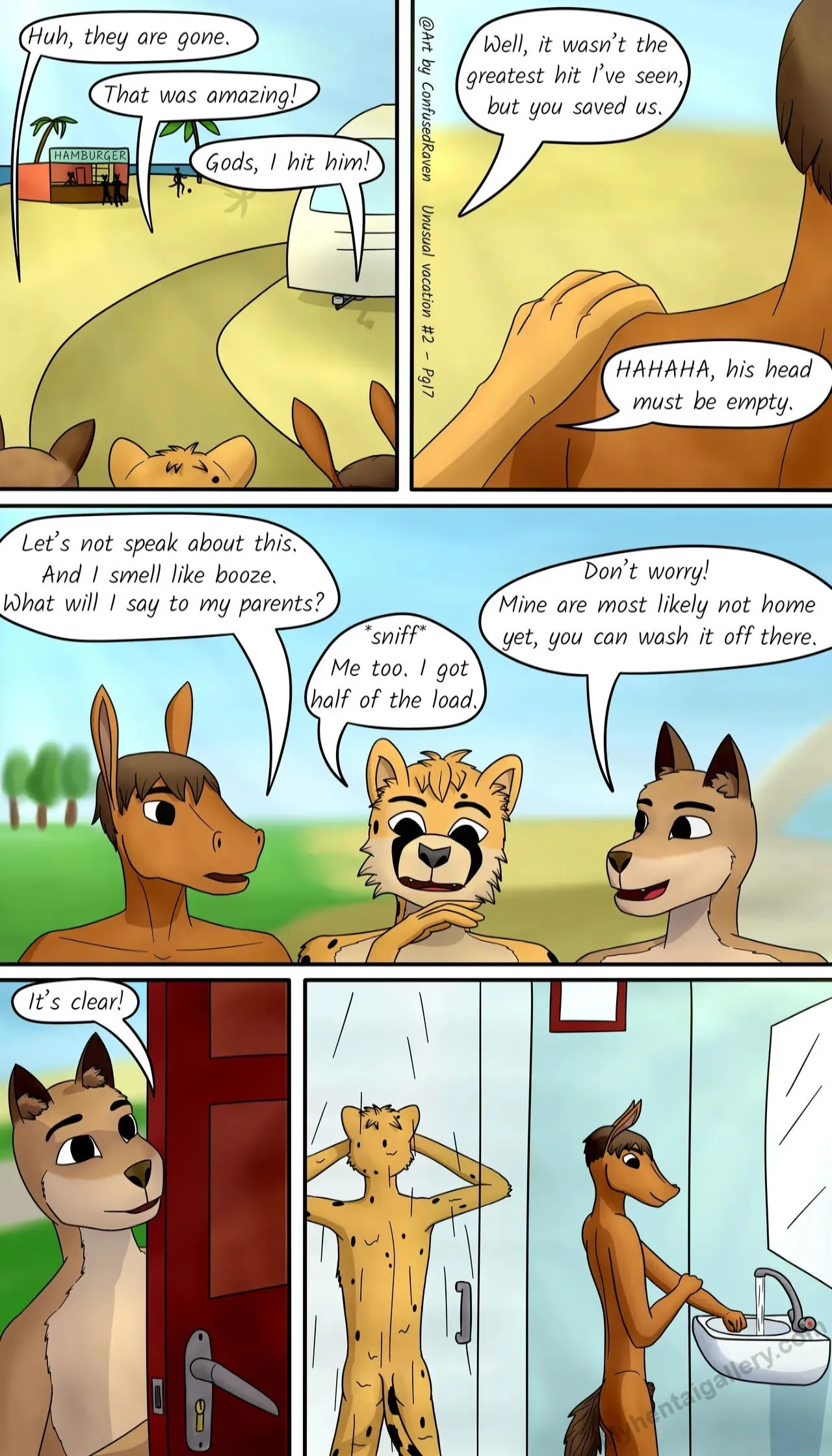 Page 17