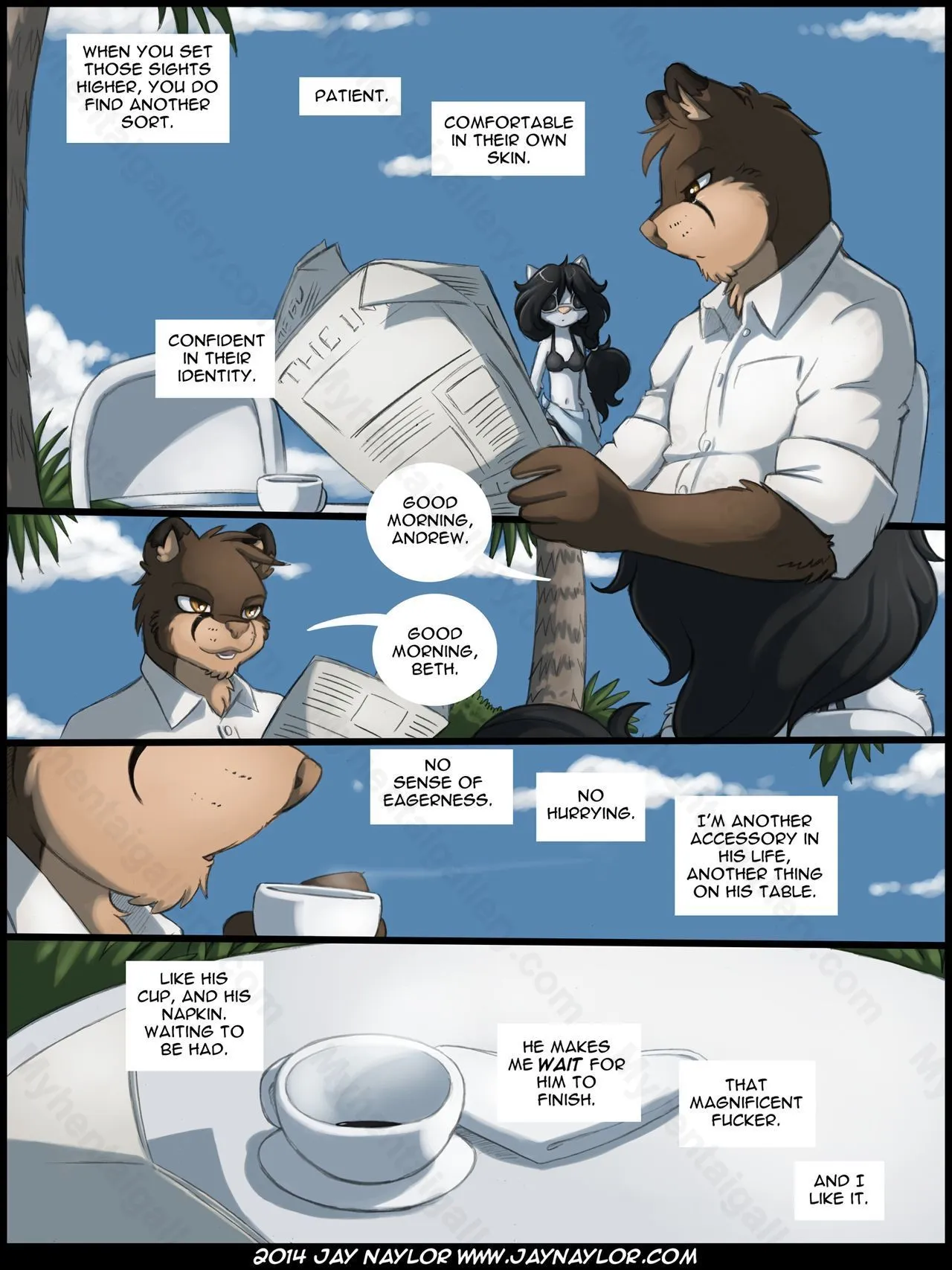 Page 3