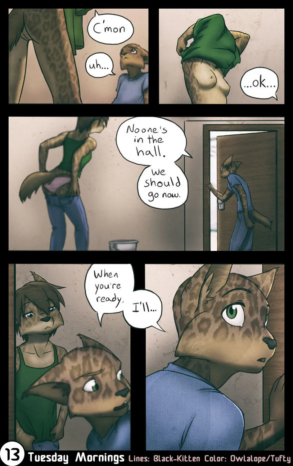Page 13