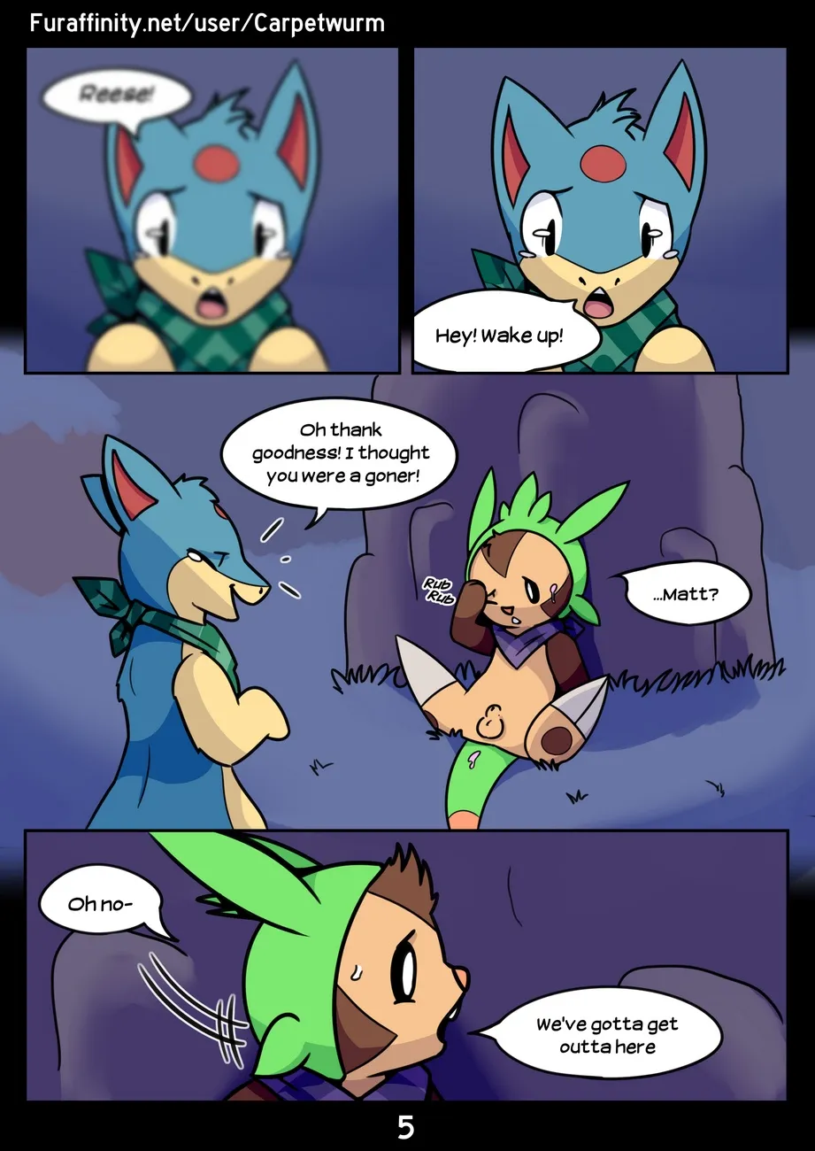Page 5