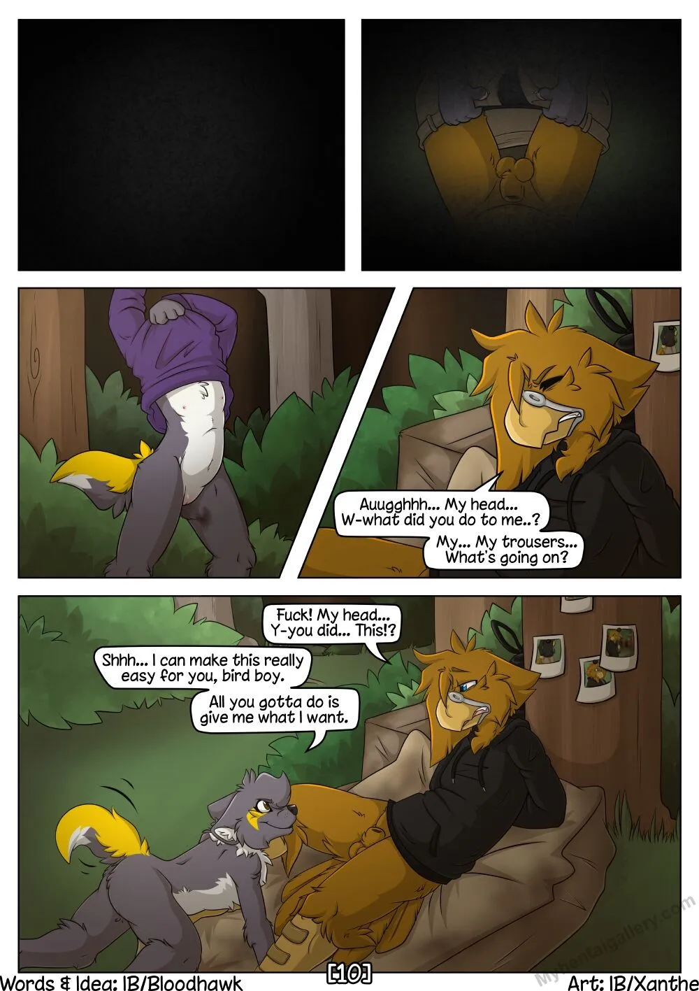 Page 11