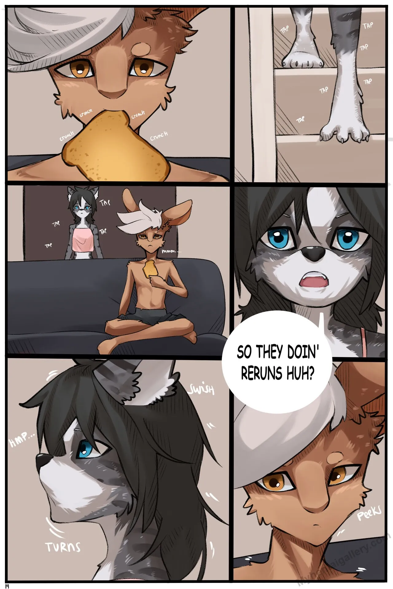 Page 15