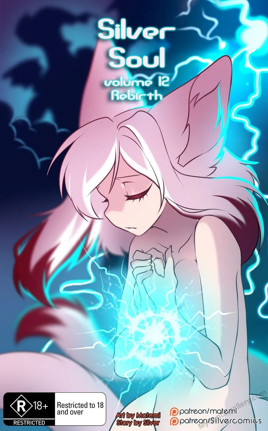 Silver Soul 12 porno comics Cover