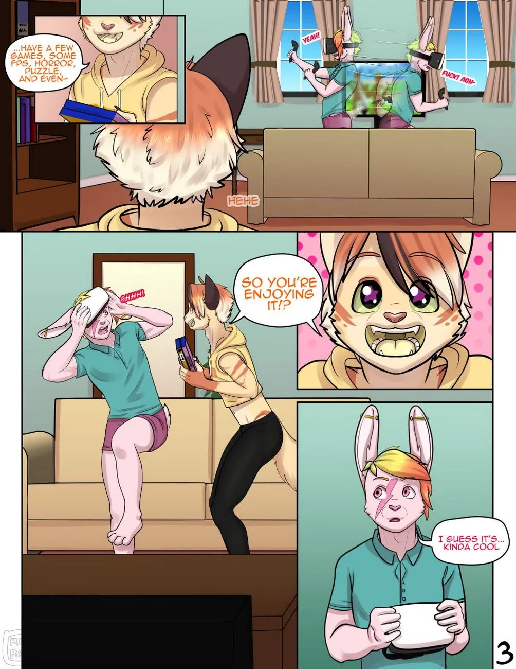 Page 3