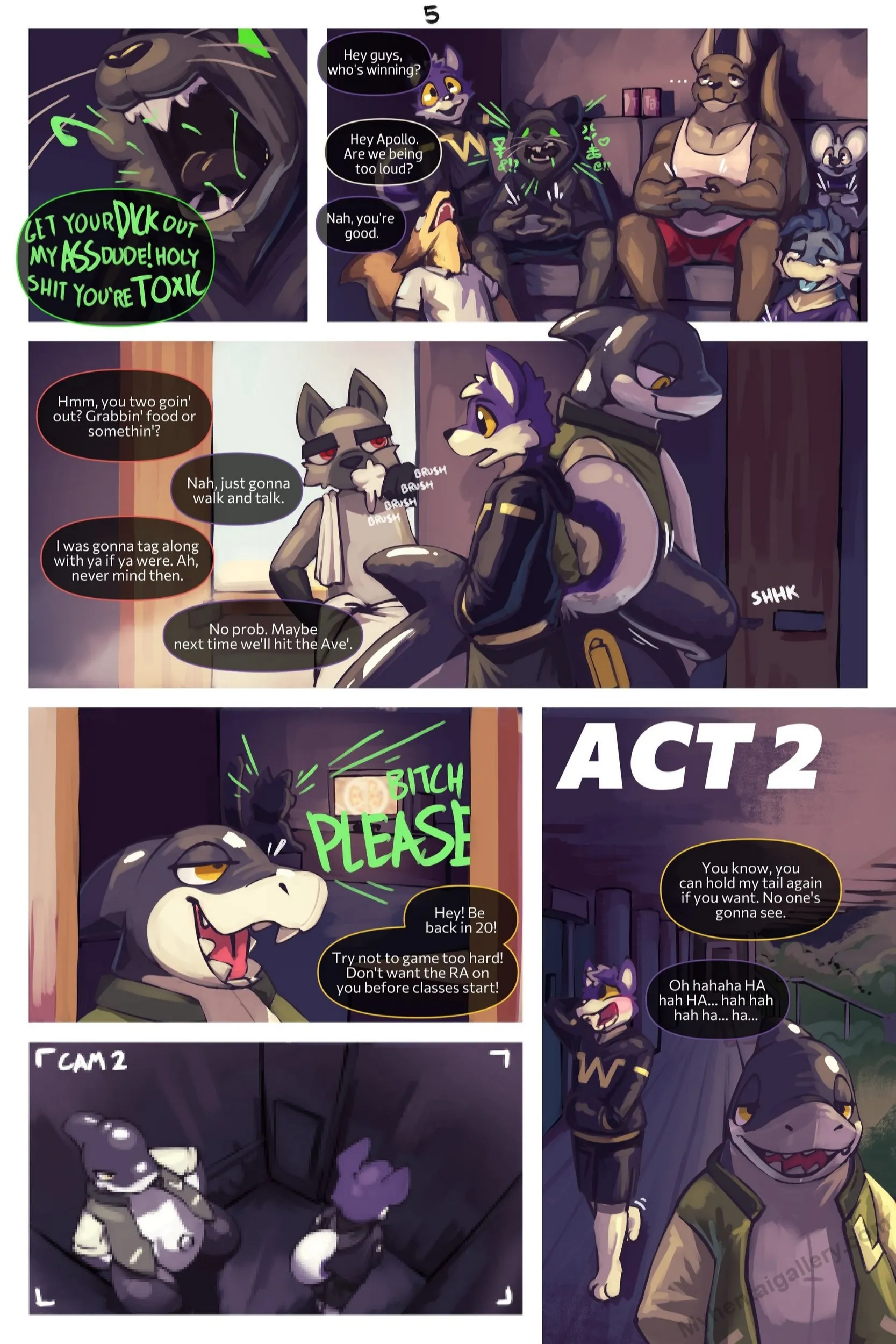 Page 5