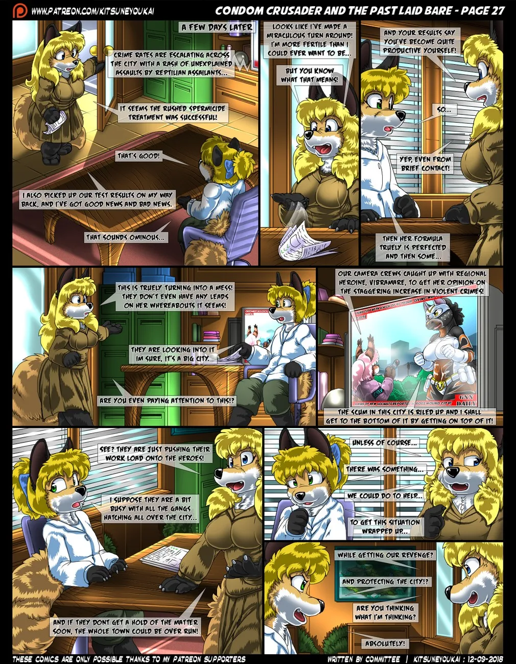 Page 27