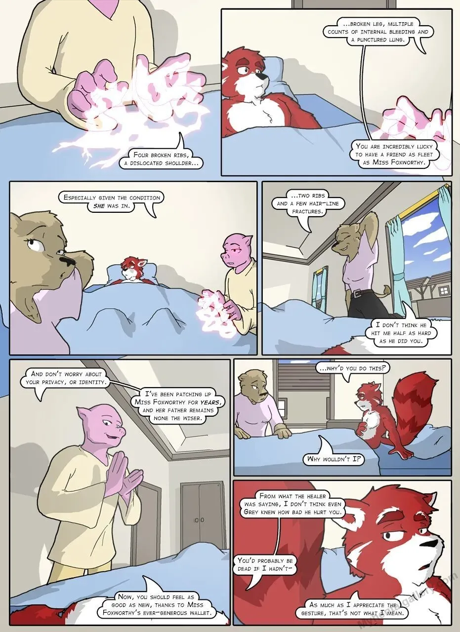 Page 41