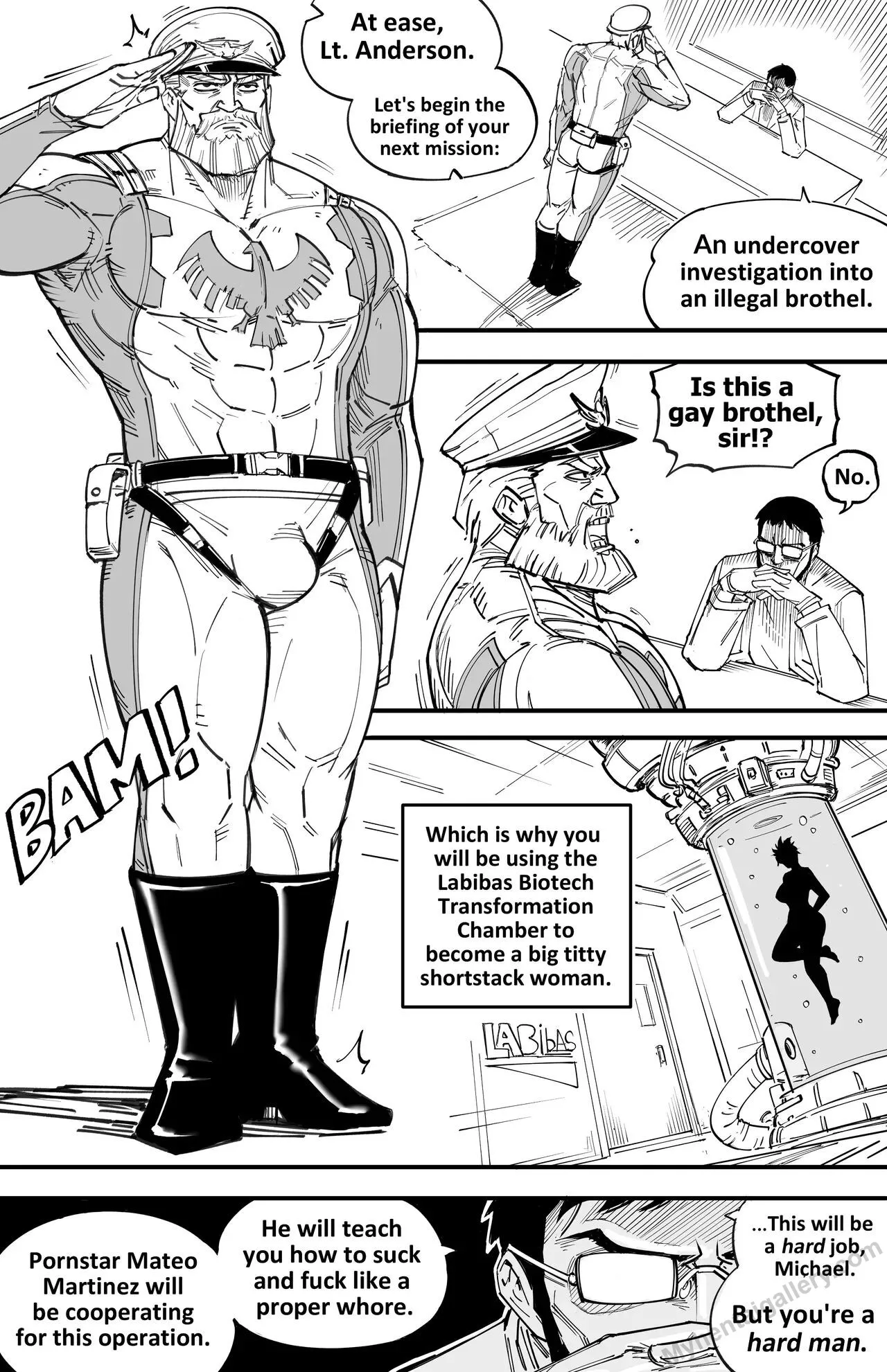 Michael Andersson - Undercover porno comics