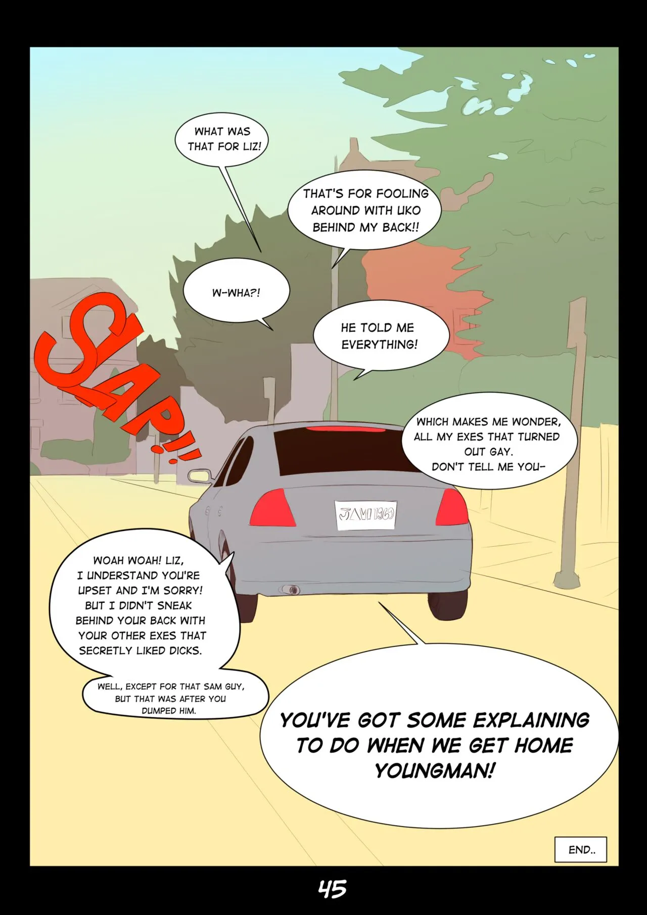 Page 45